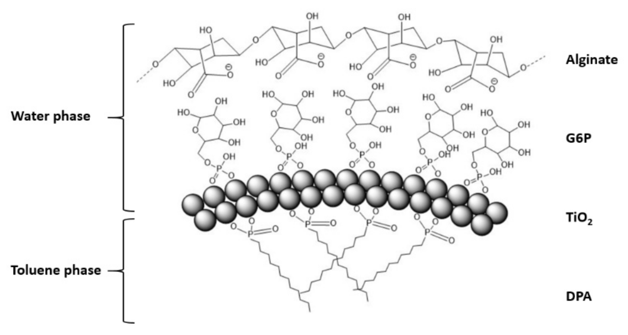 Materials 13 04856 g004 Materials 13 04856 g004