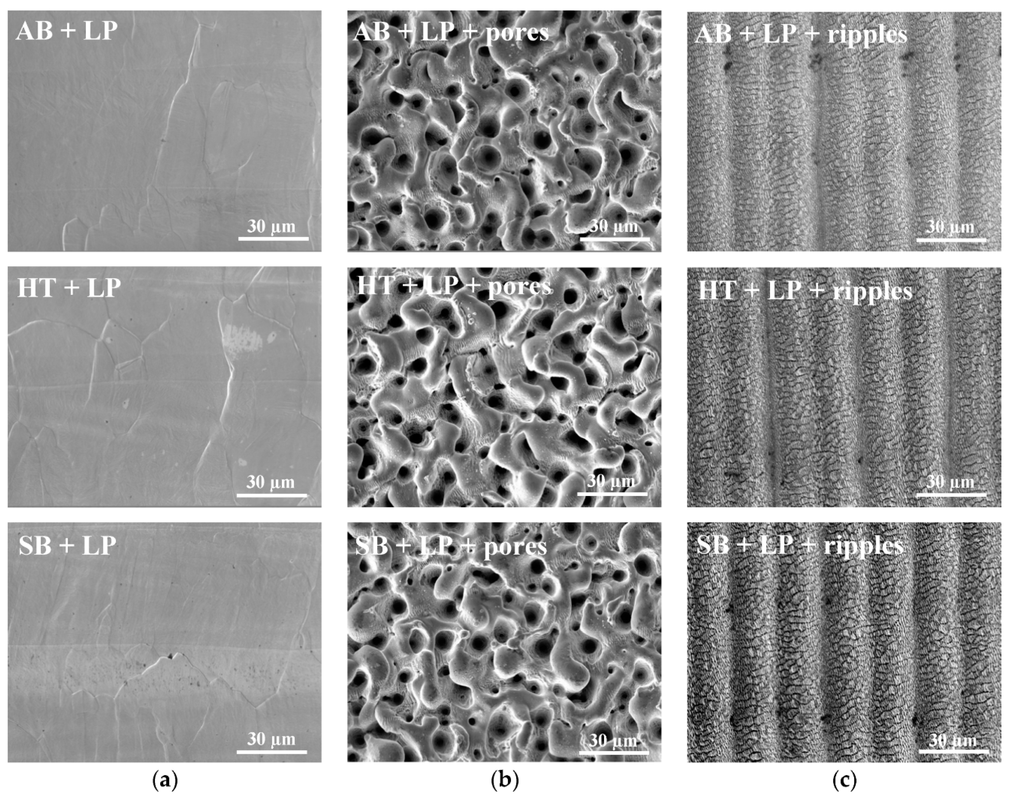 Materials 13 04872 g004 Materials 13 04872 g004