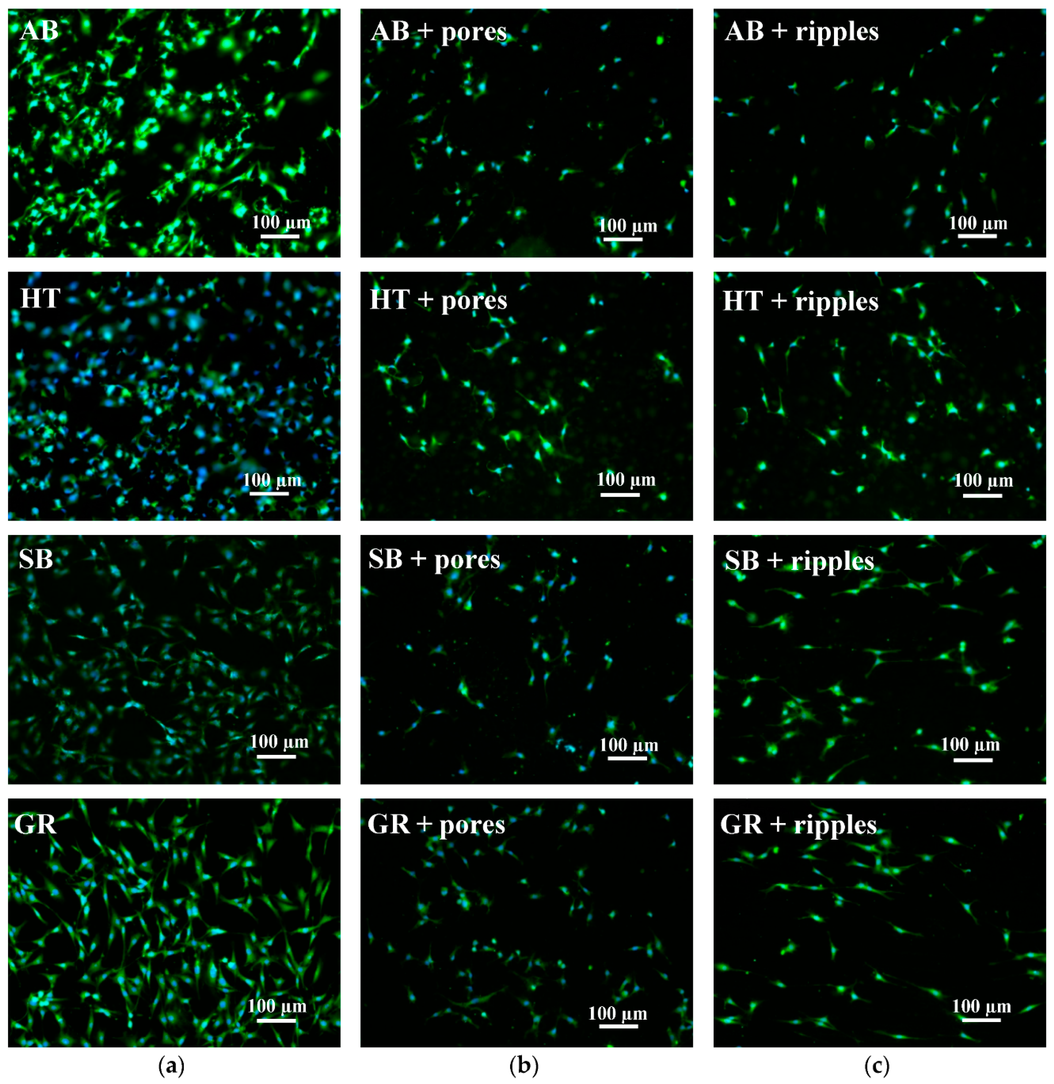Materials 13 04872 g011 Materials 13 04872 g011