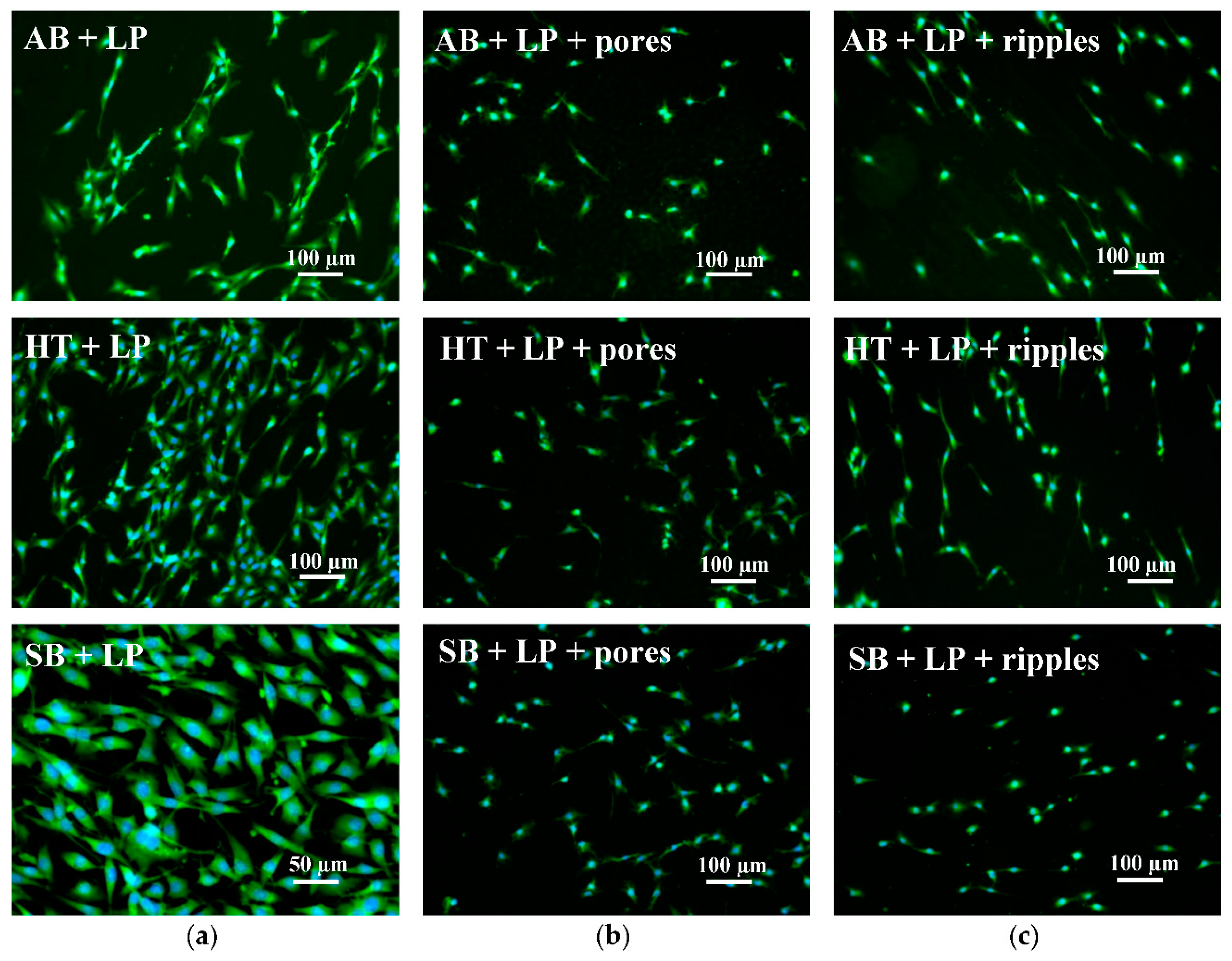 Materials 13 04872 g012 Materials 13 04872 g012