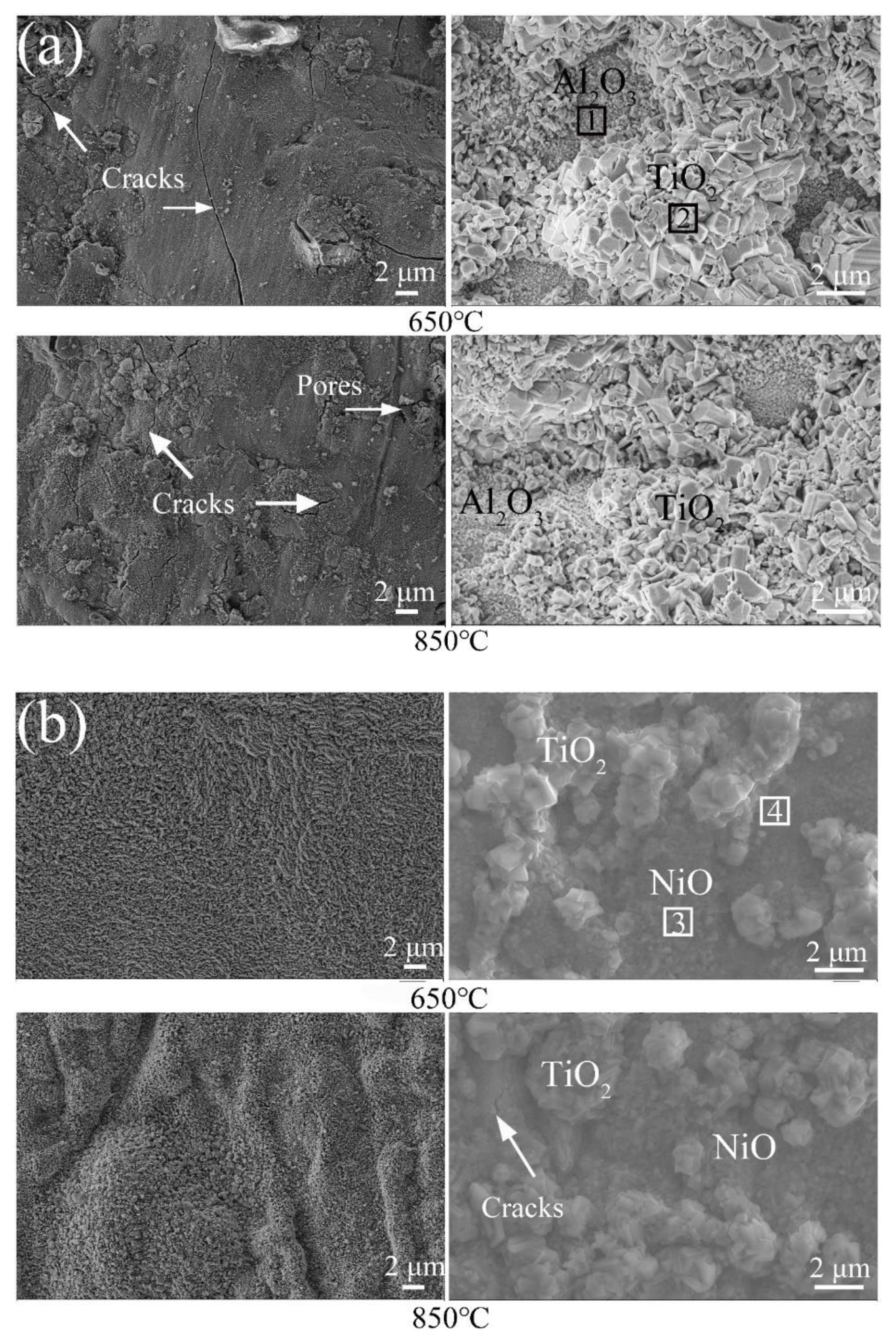 Materials 13 04882 g010 Materials 13 04882 g010