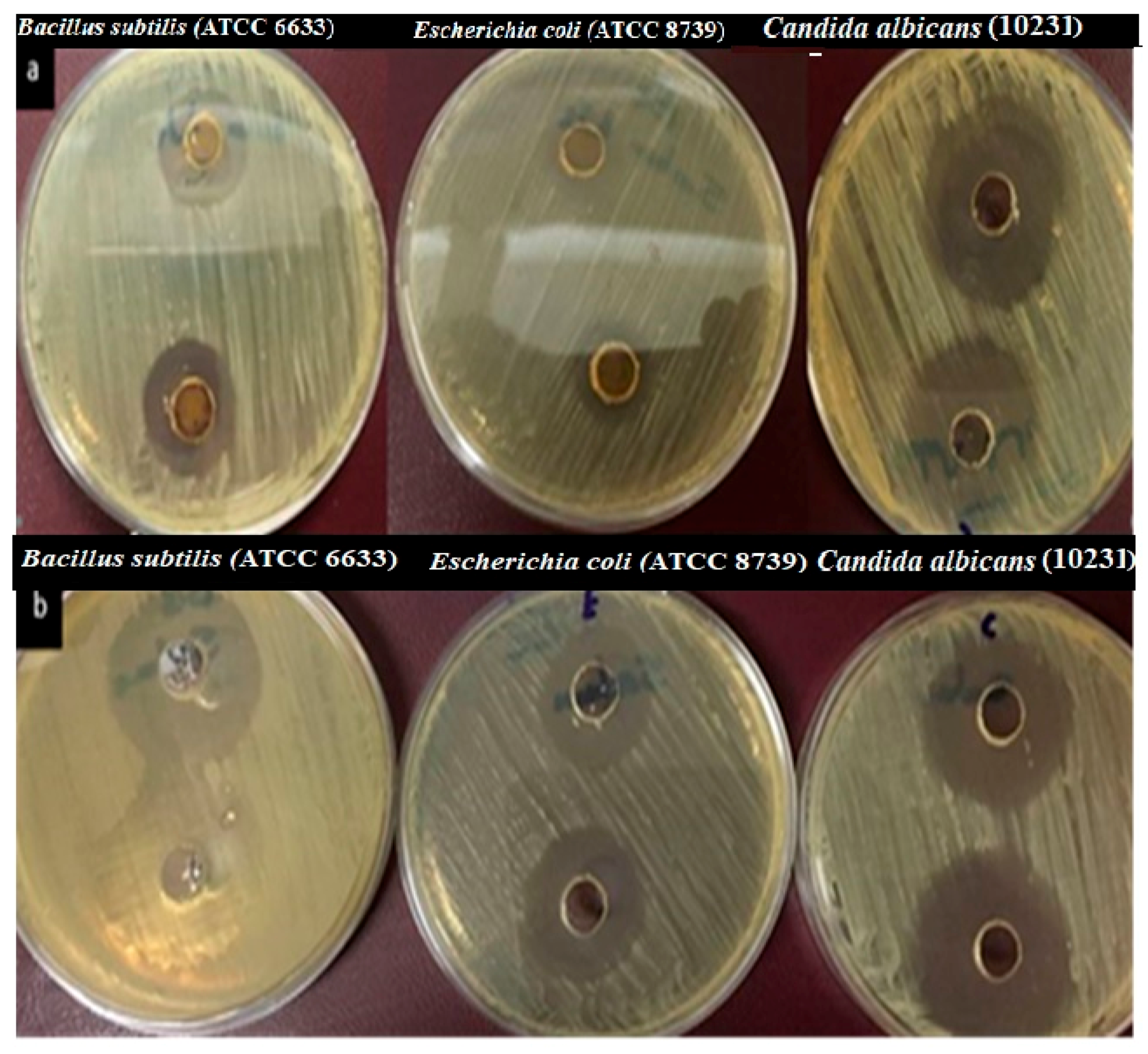 Materials 13 04891 g006