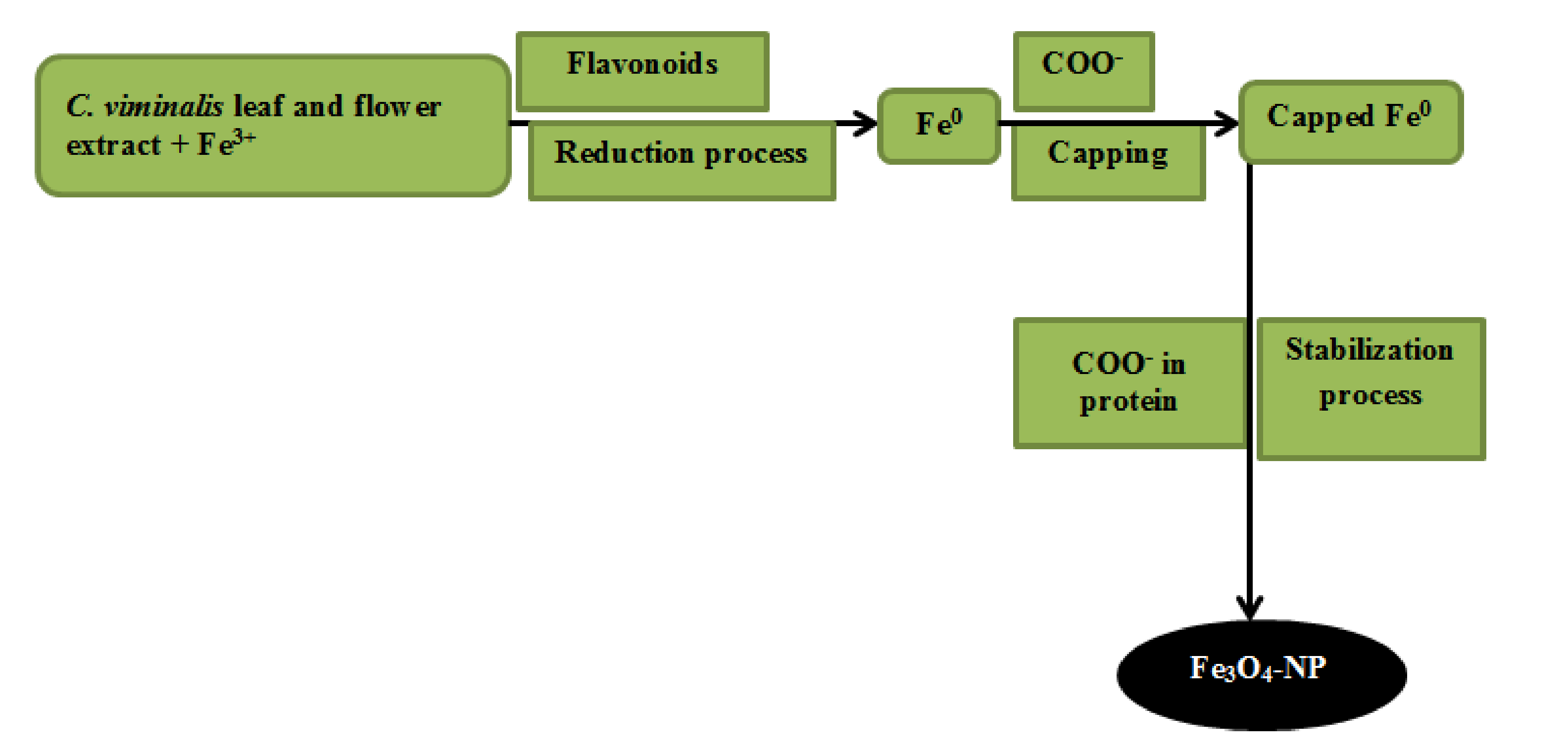 Materials 13 04894 g006