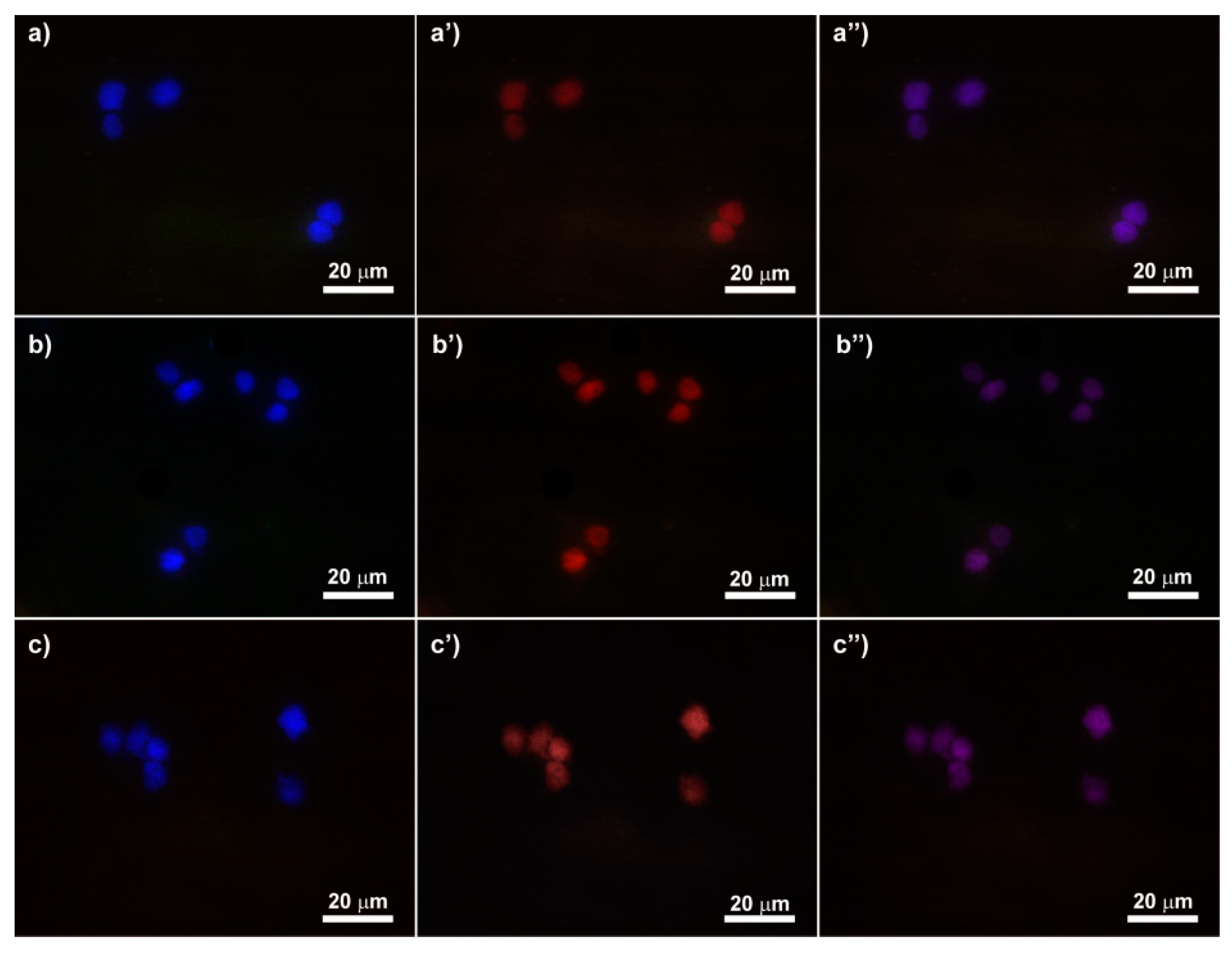 Materials 13 04899 g006 Materials 13 04899 g006