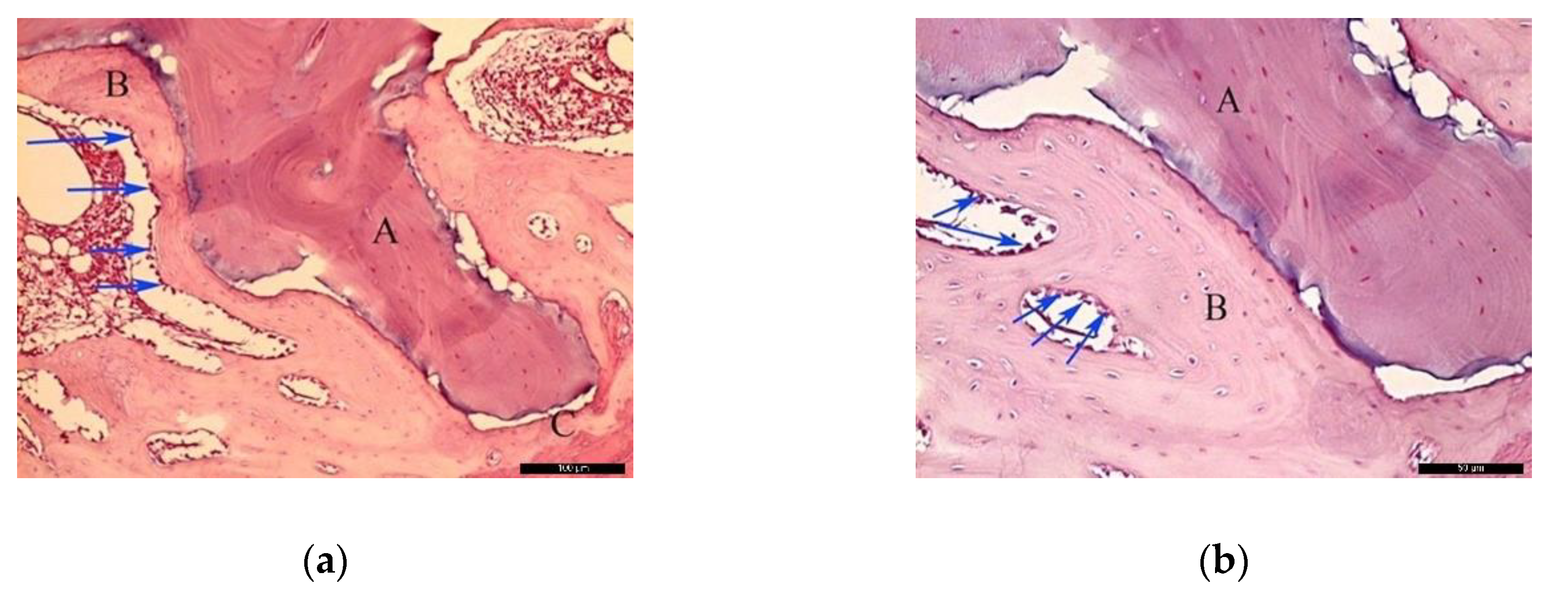 Materials 13 04902 g005