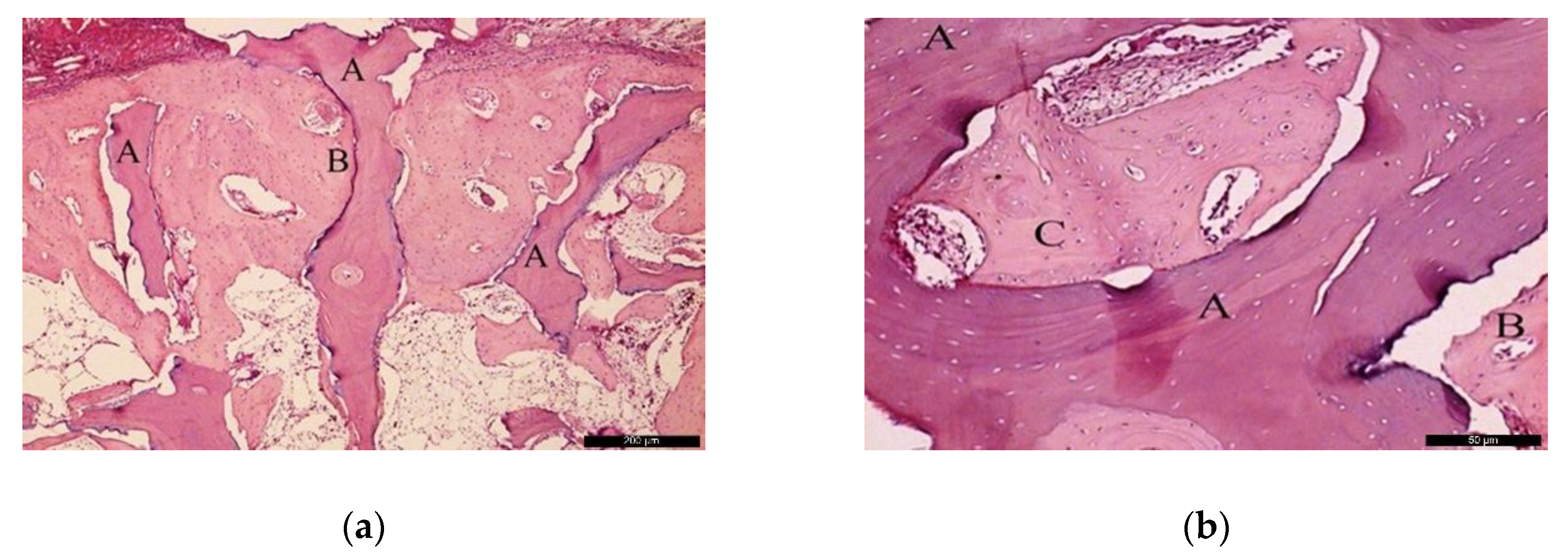 Materials 13 04902 g006