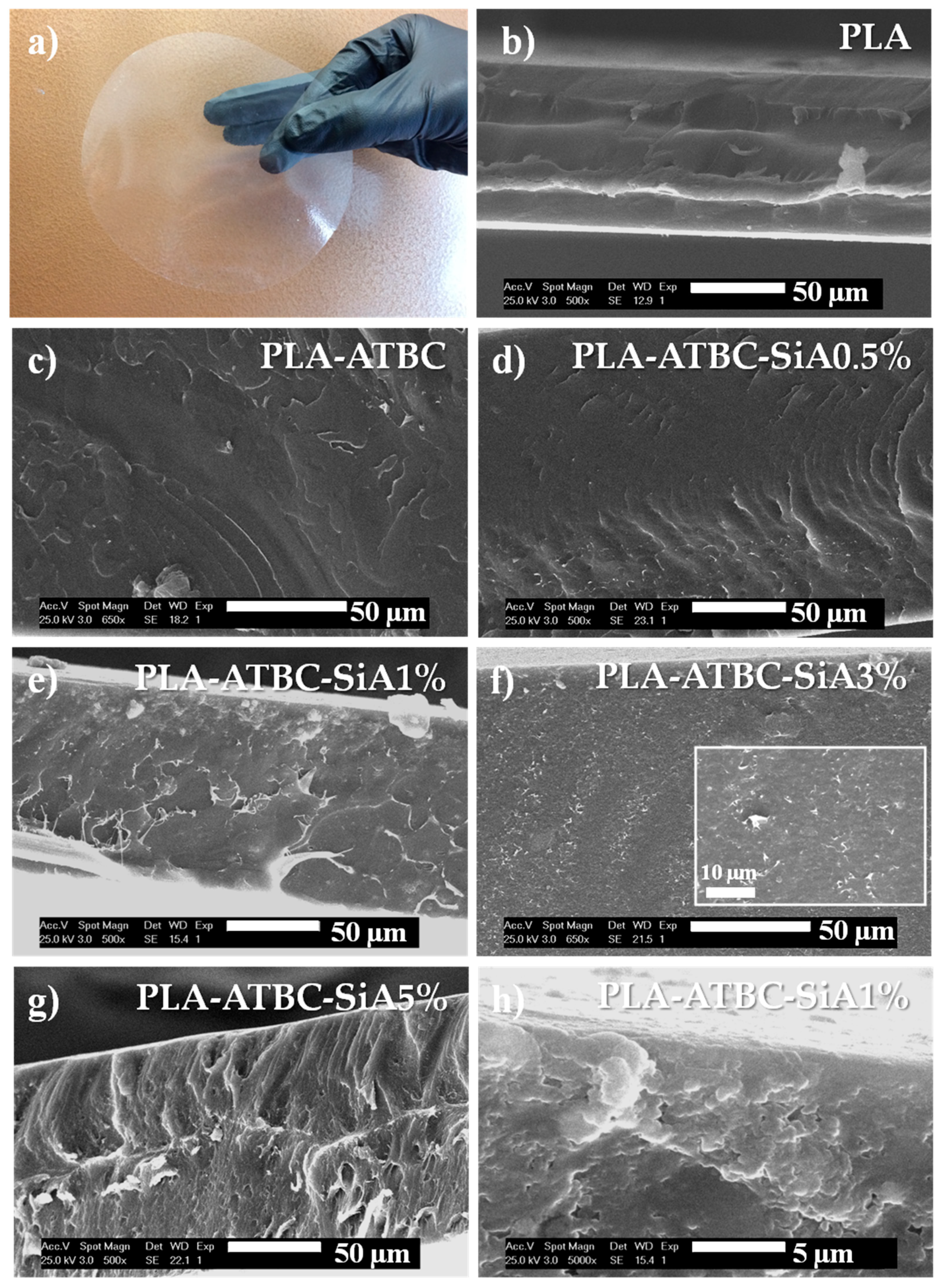 Materials 13 04910 g001 Materials 13 04910 g001