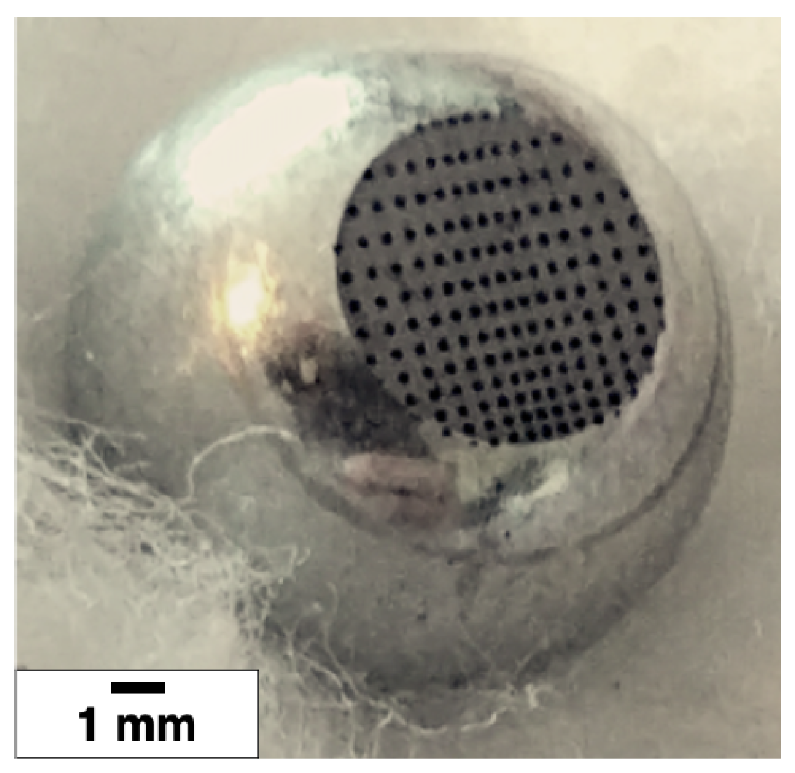 Materials 13 04915 g002 Materials 13 04915 g002