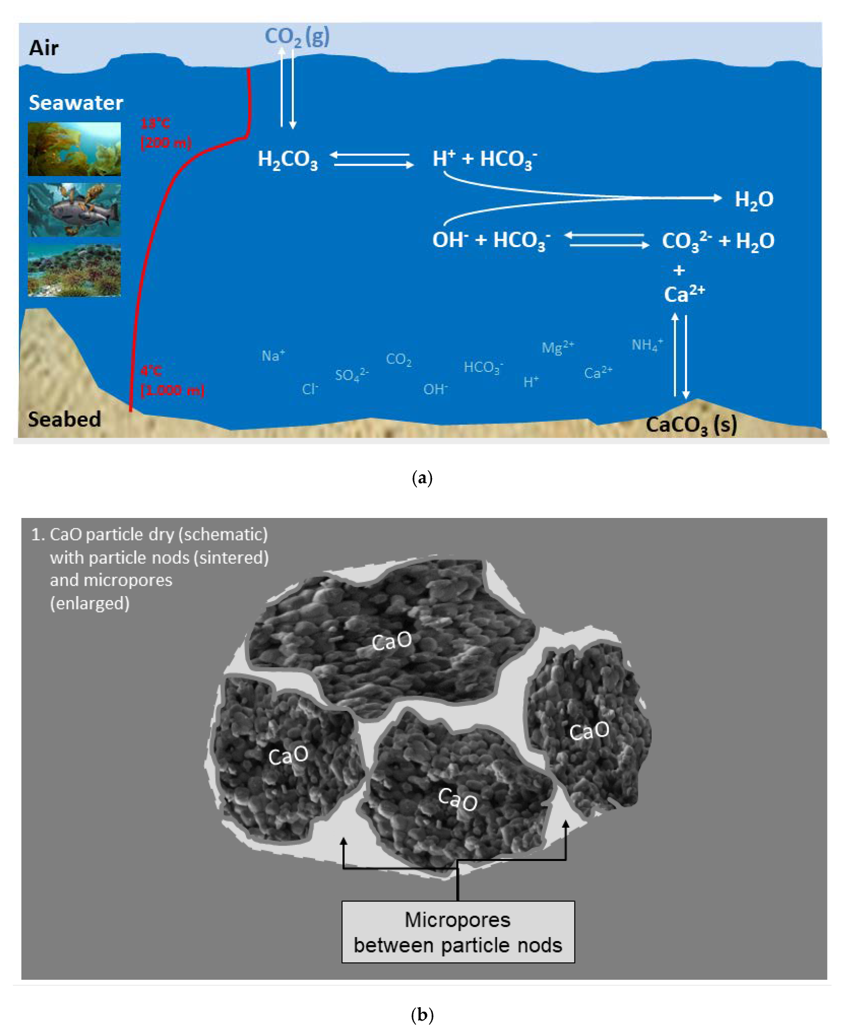 Materials 13 04926 g020a