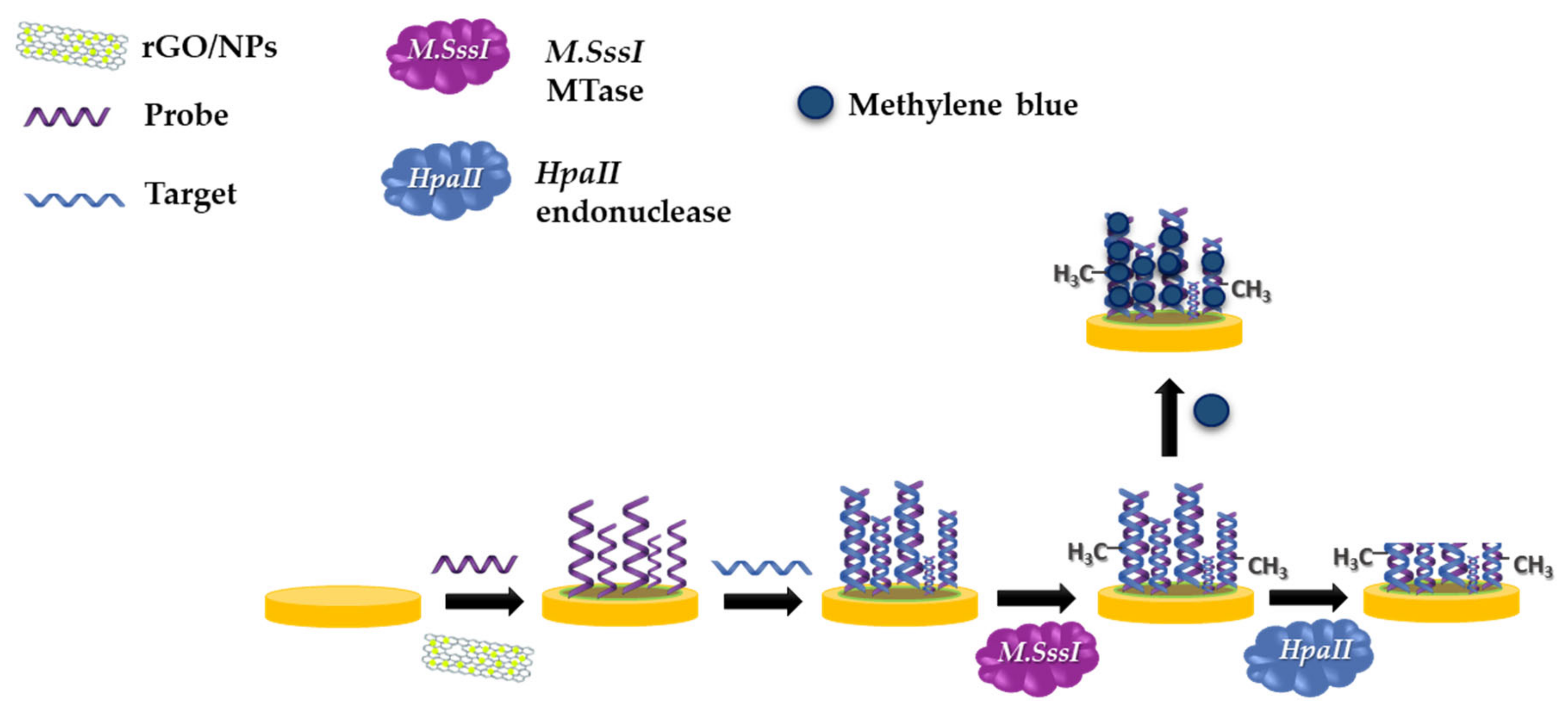 Materials 13 04936 g001 Materials 13 04936 g001