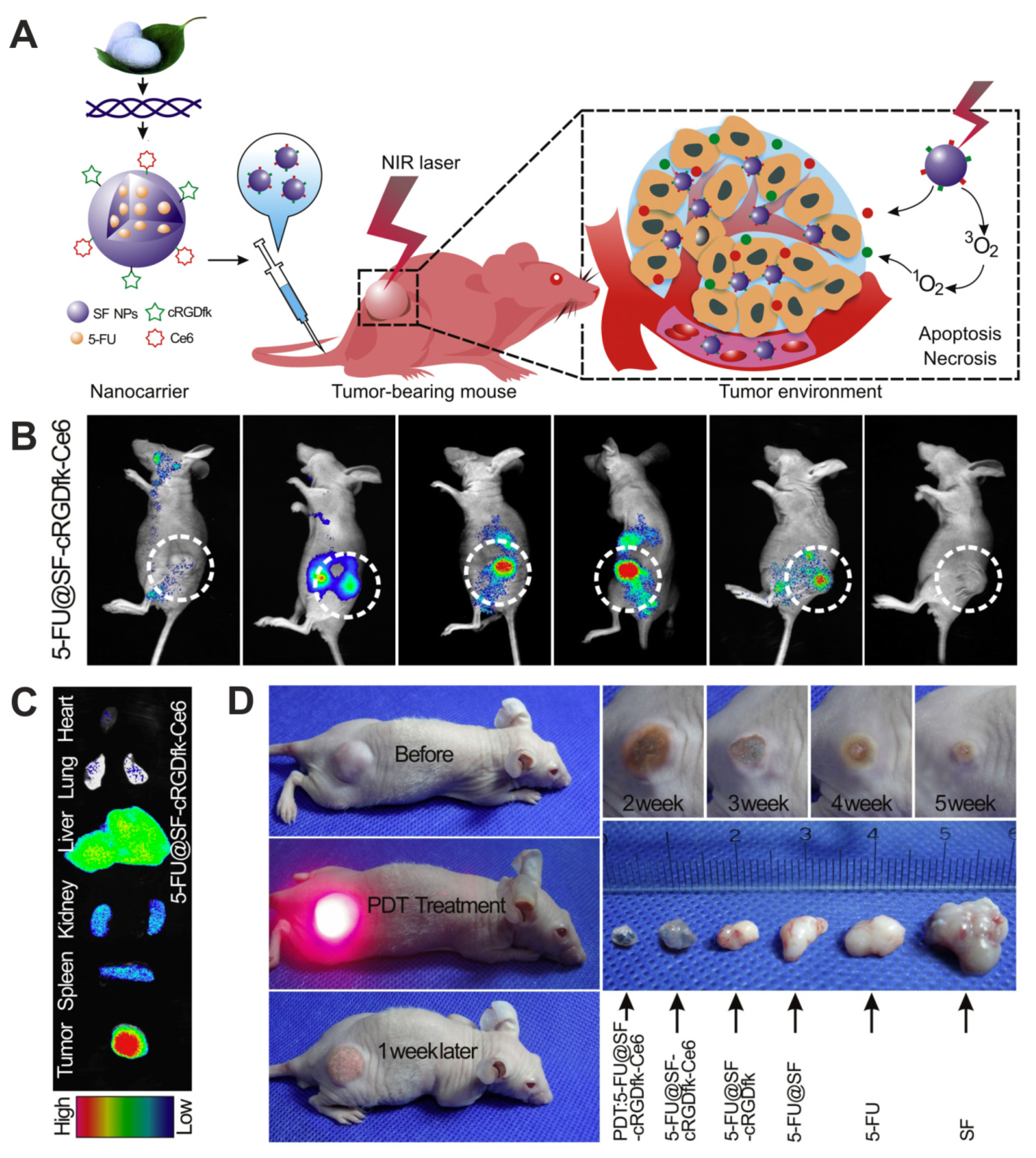 Materials 13 04946 g006