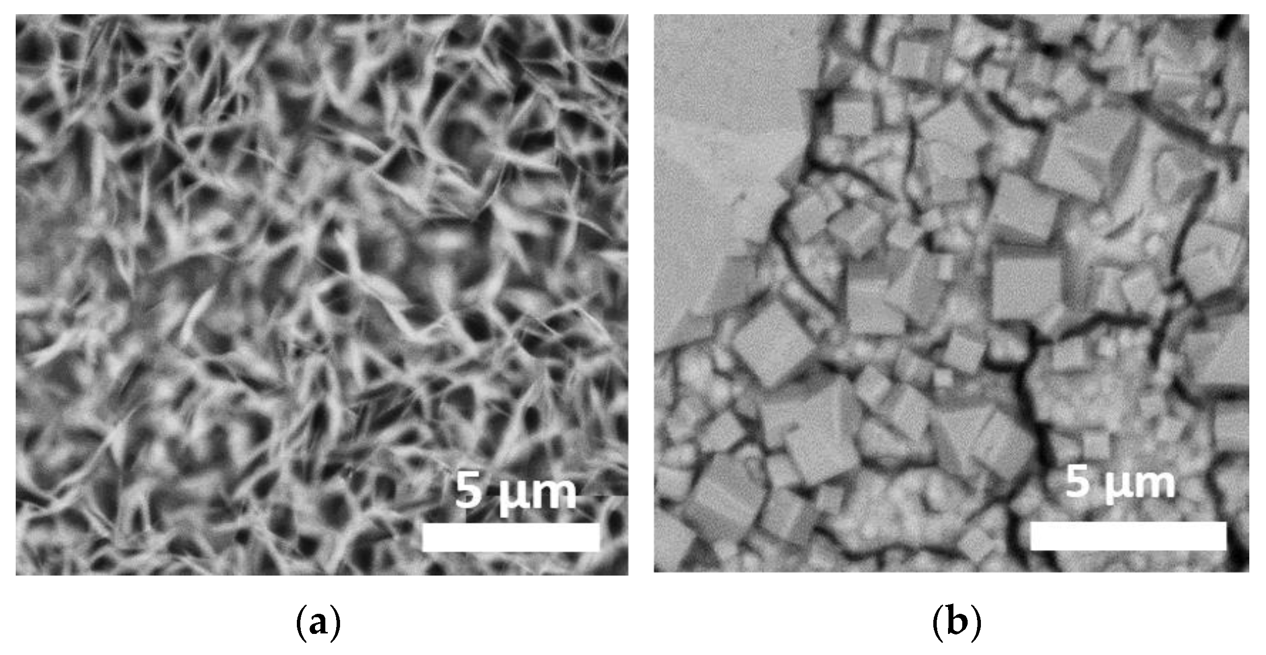 Materials 13 04958 g003