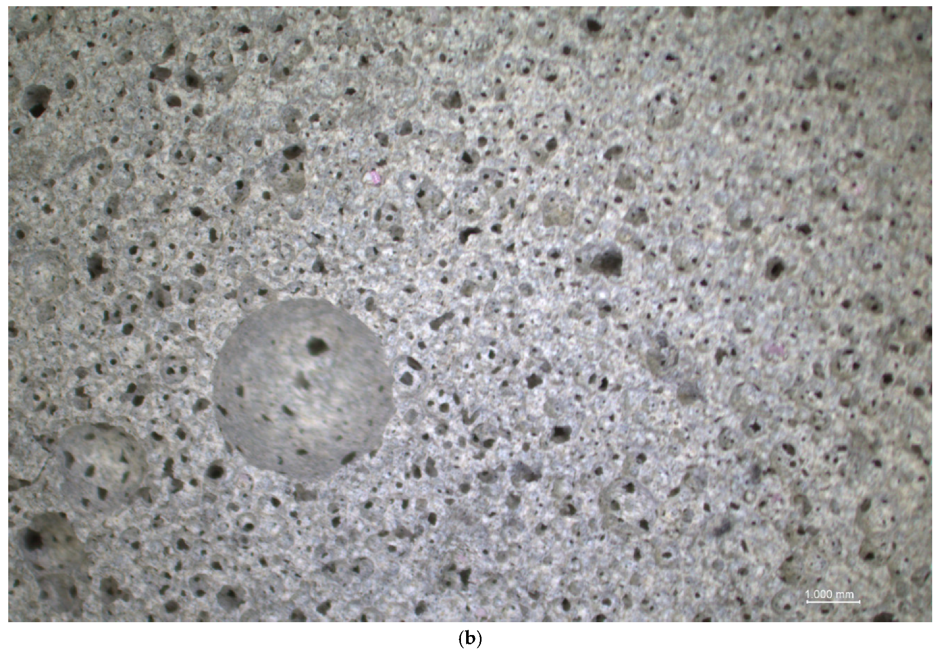 Materials 13 04979 g006b Materials 13 04979 g006b