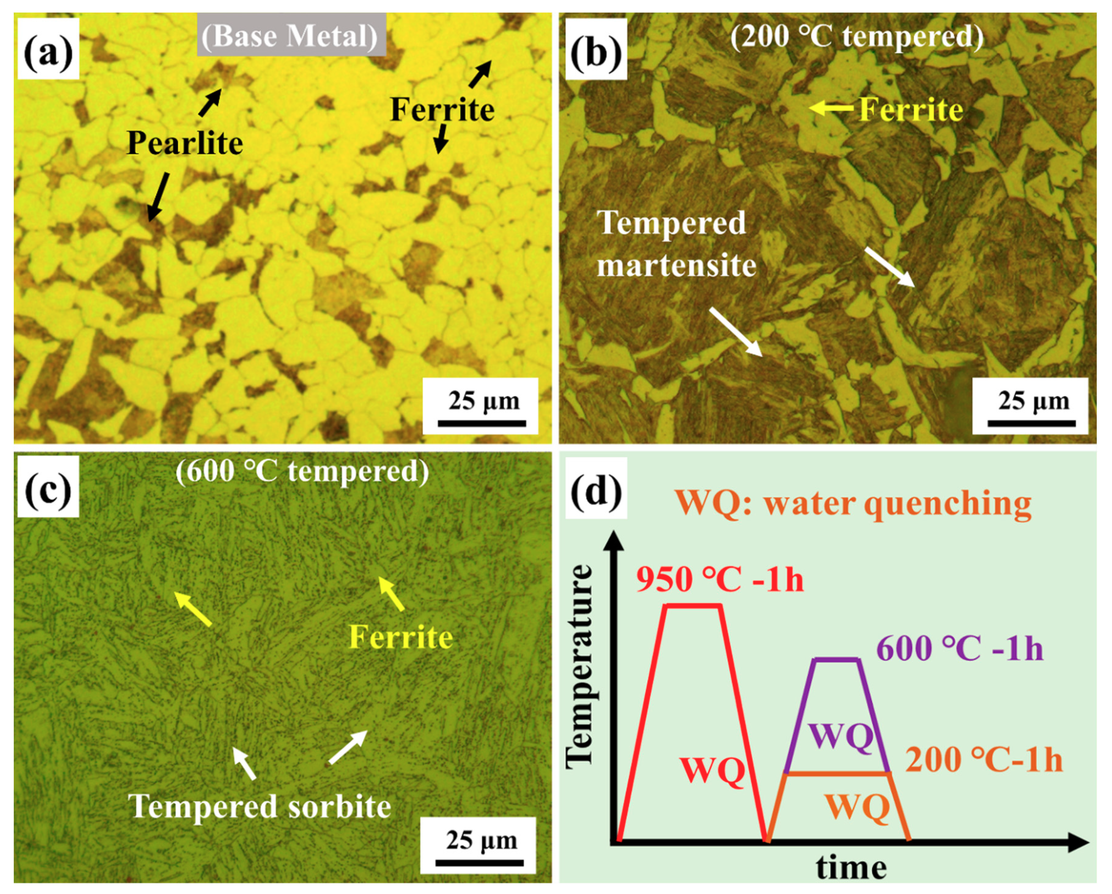 Materials 13 04981 g002