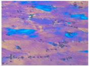 Materials 13 04982 i003