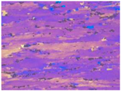 Materials 13 04982 i004