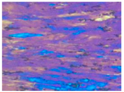 Materials 13 04982 i012