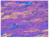 Materials 13 04982 i013