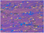 Materials 13 04982 i015