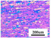 Materials 13 04982 i020