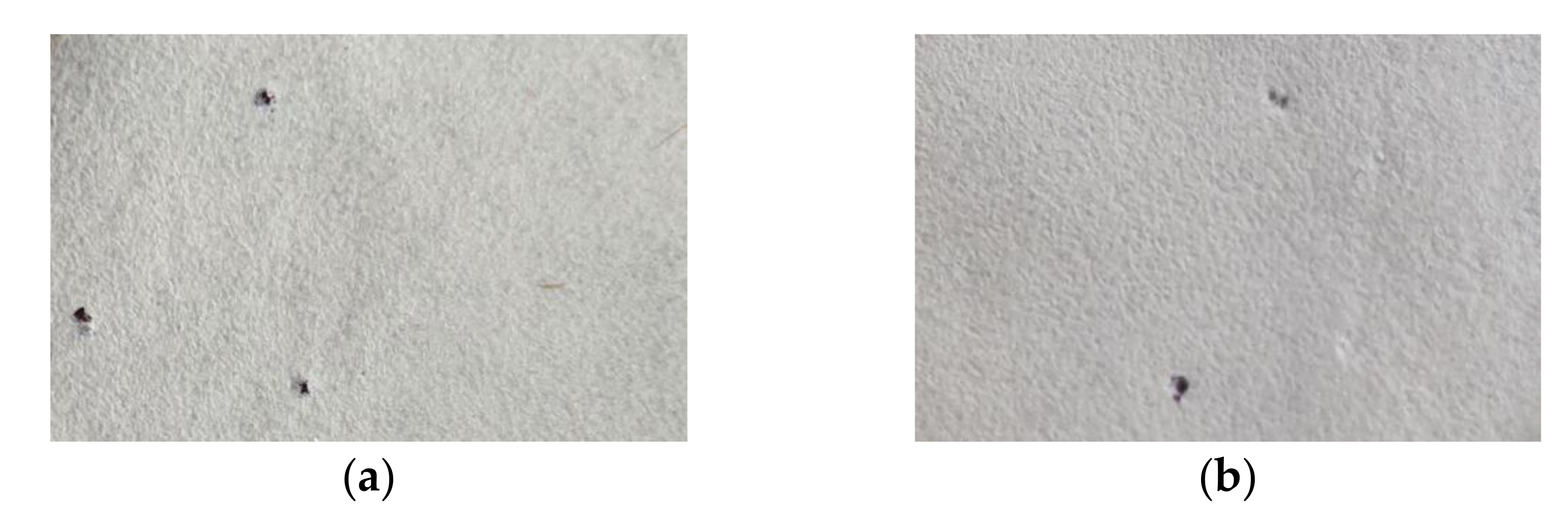 Materials | Free Full-Text | Investigation of Kenaf Paper in the Presence  of PVA for Transformers Application