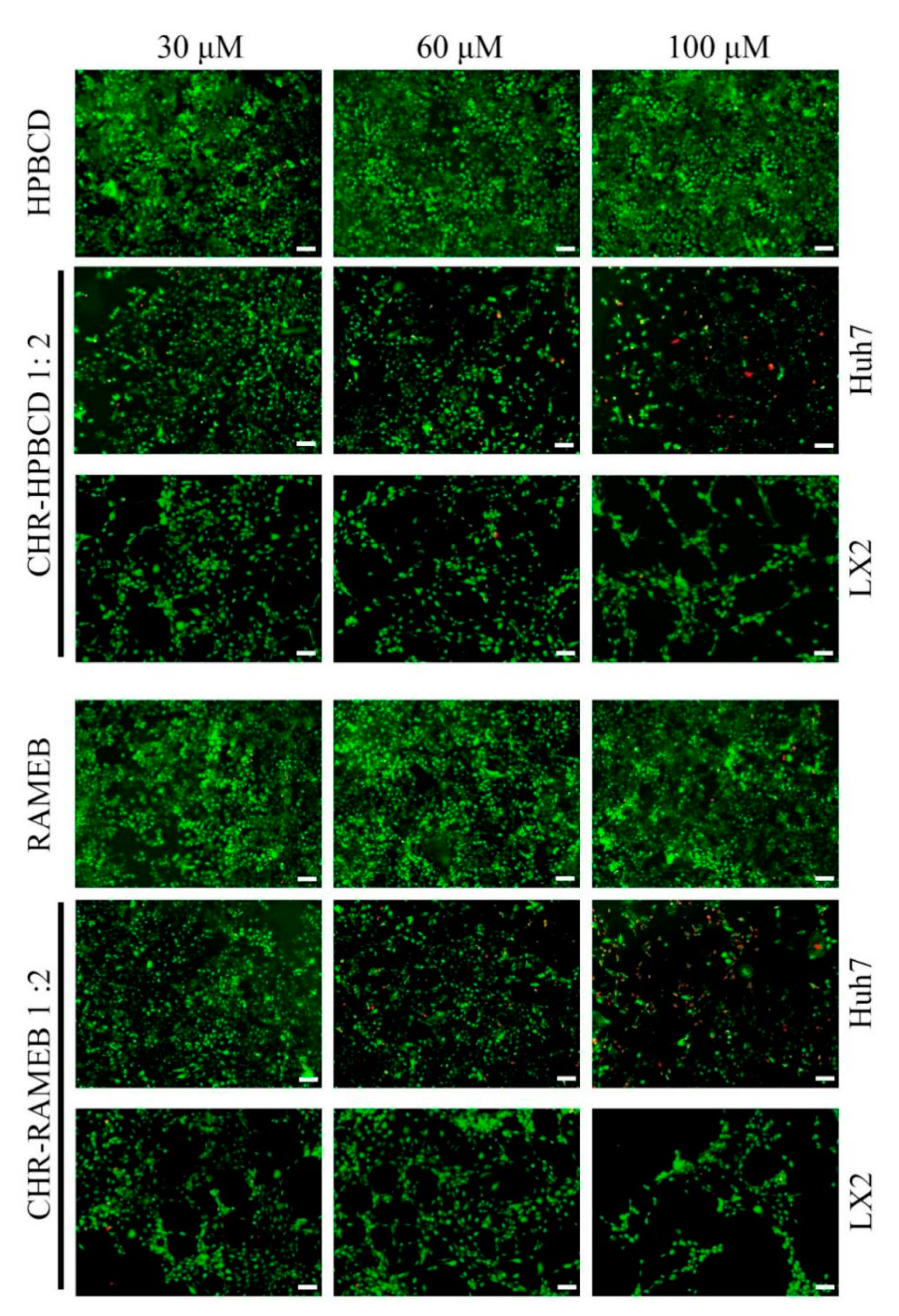 Materials 13 05003 g003 Materials 13 05003 g003