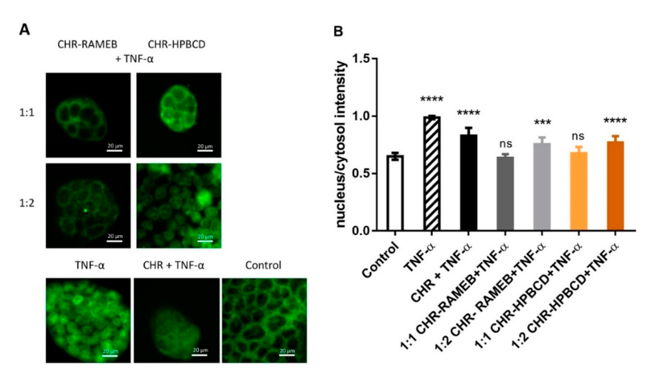 Materials 13 05003 g004 Materials 13 05003 g004
