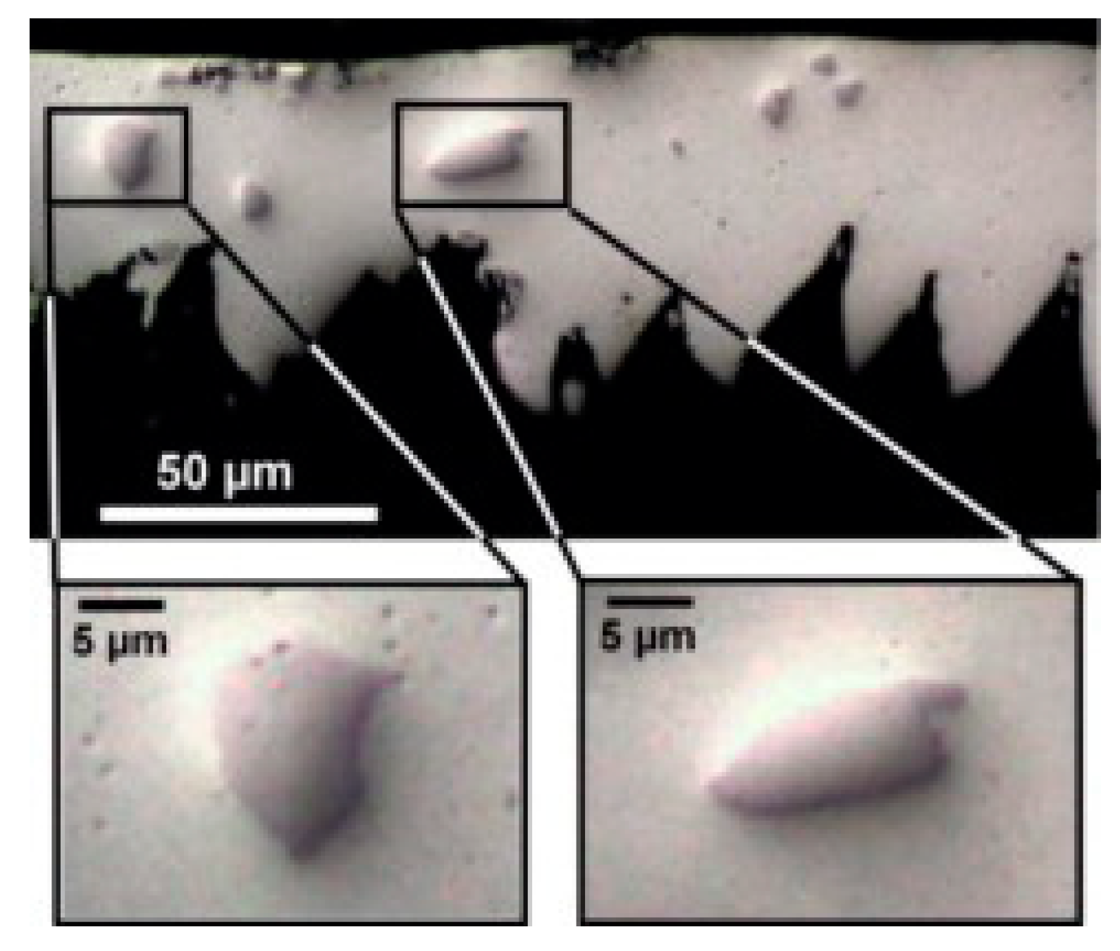 Materials 13 05011 g001