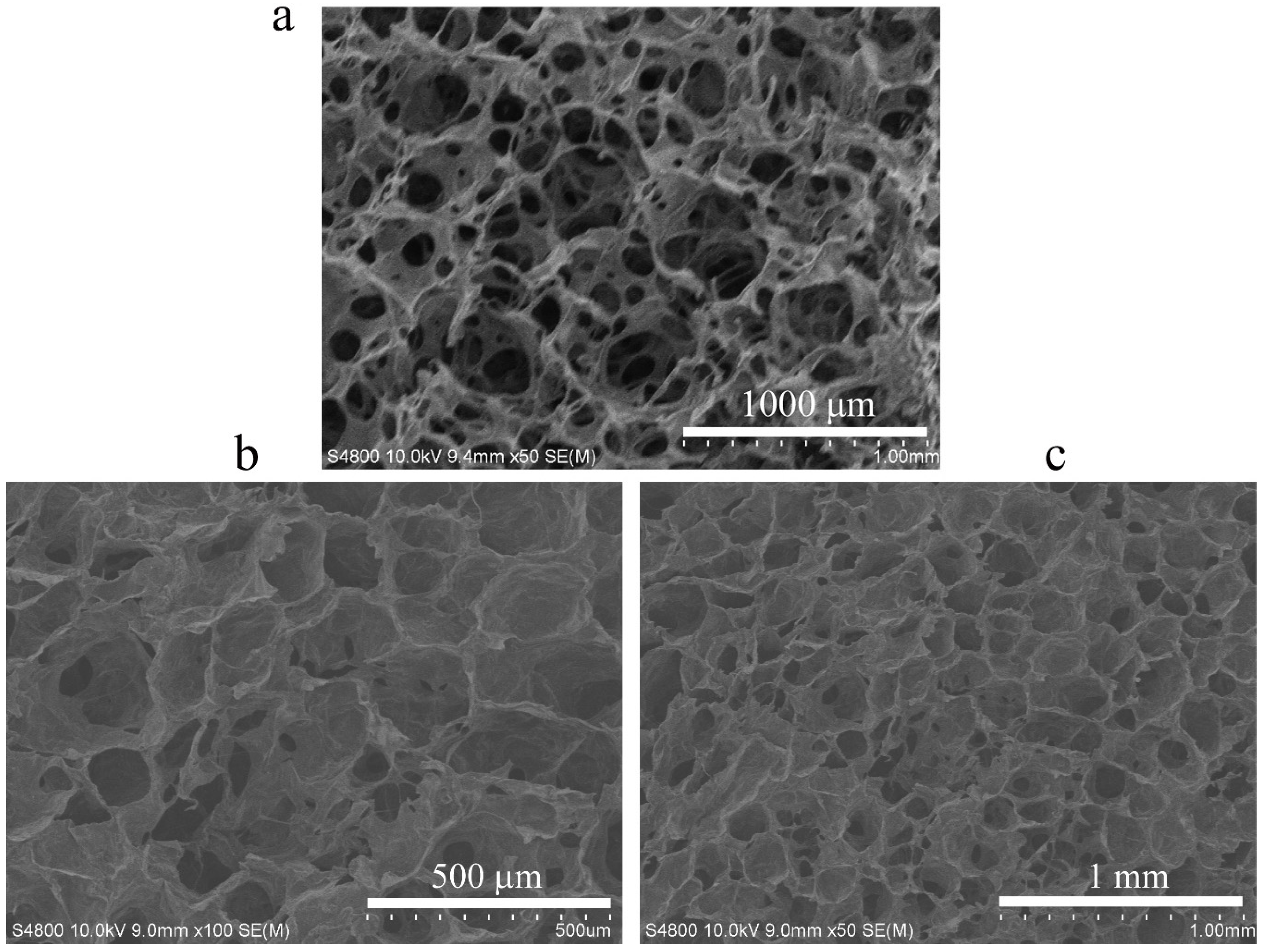 Materials 13 05038 g001 Materials 13 05038 g001