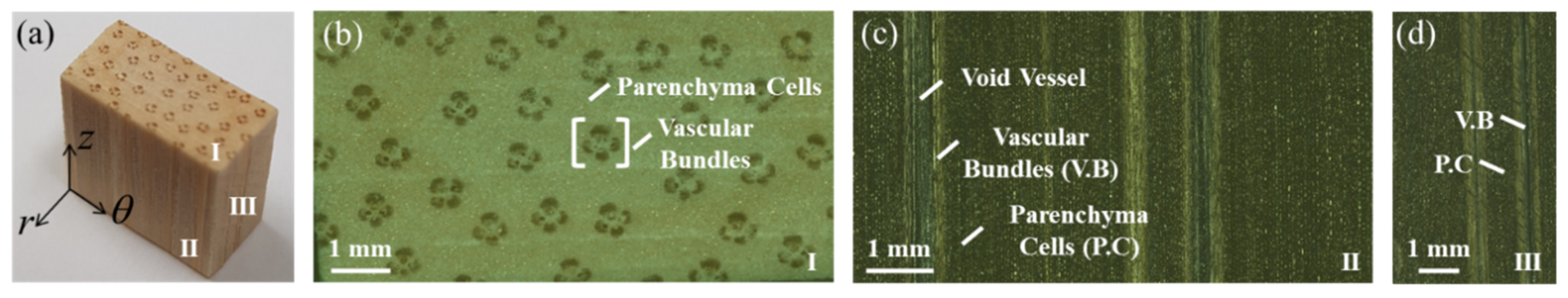 Materials 13 05039 g001 550