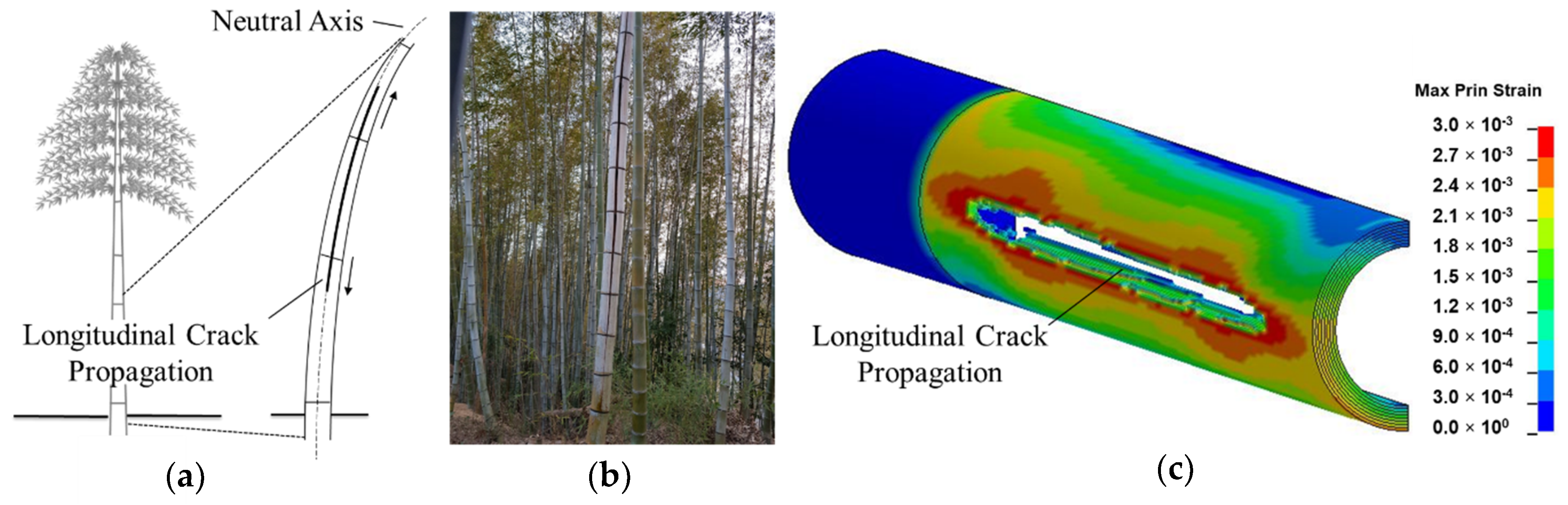 Materials 13 05039 g015 550