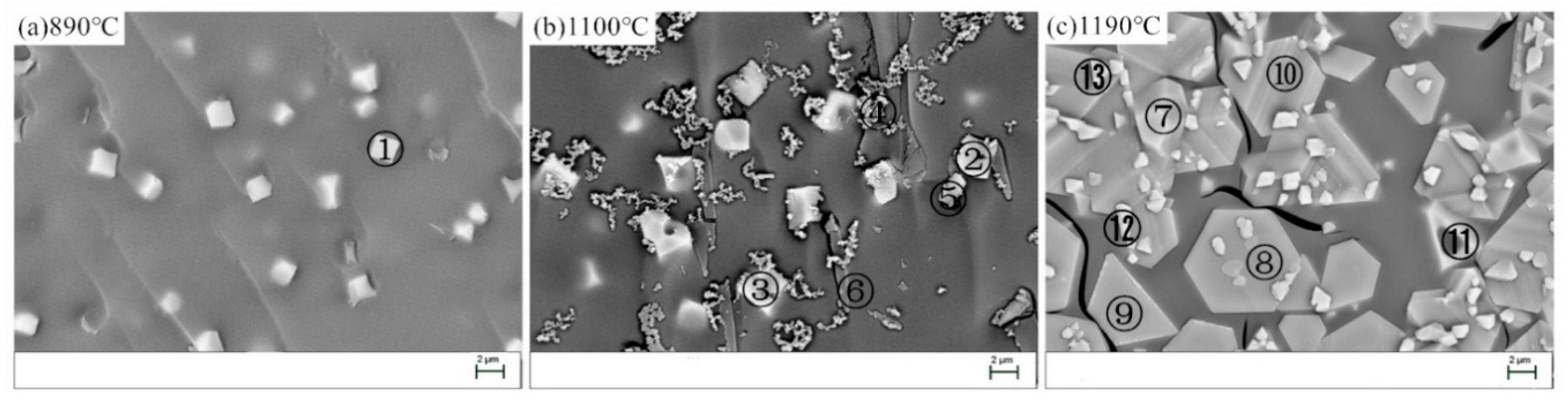 Materials 13 05043 g007 Materials 13 05043 g007