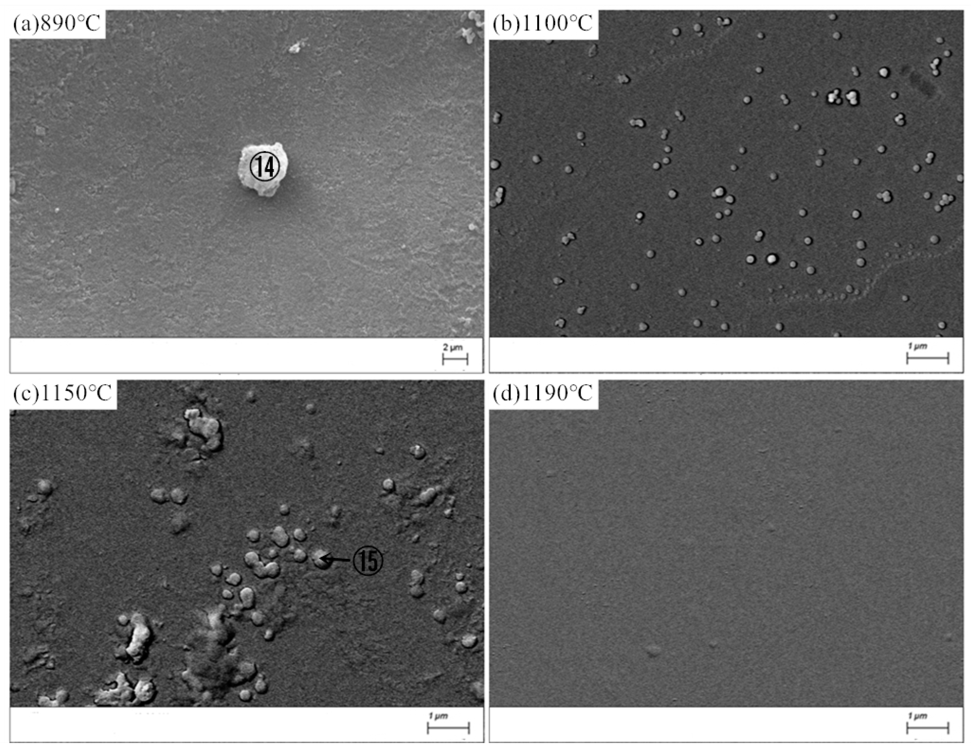 Materials 13 05043 g008 Materials 13 05043 g008