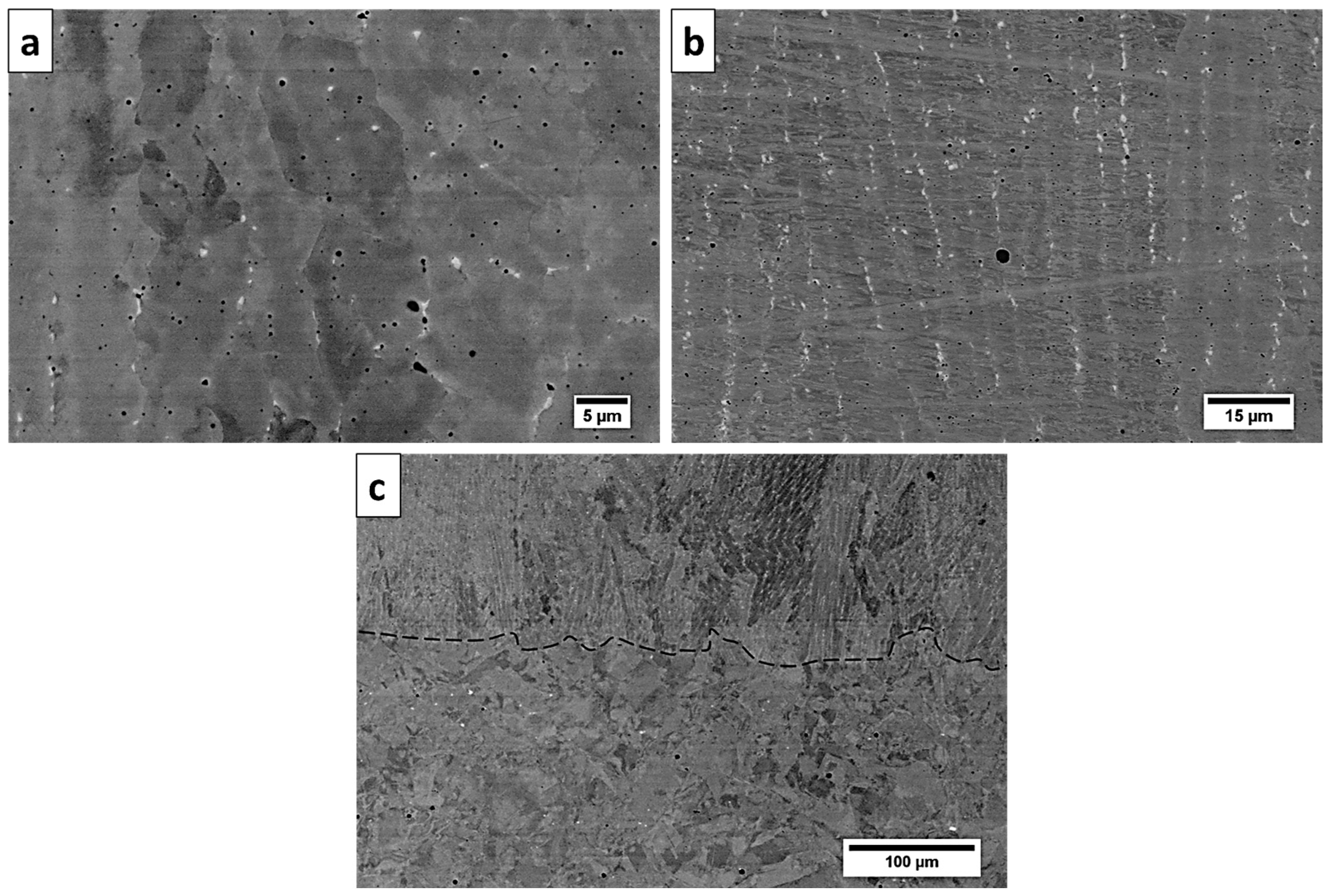 Materials 13 05050 g003 Materials 13 05050 g003