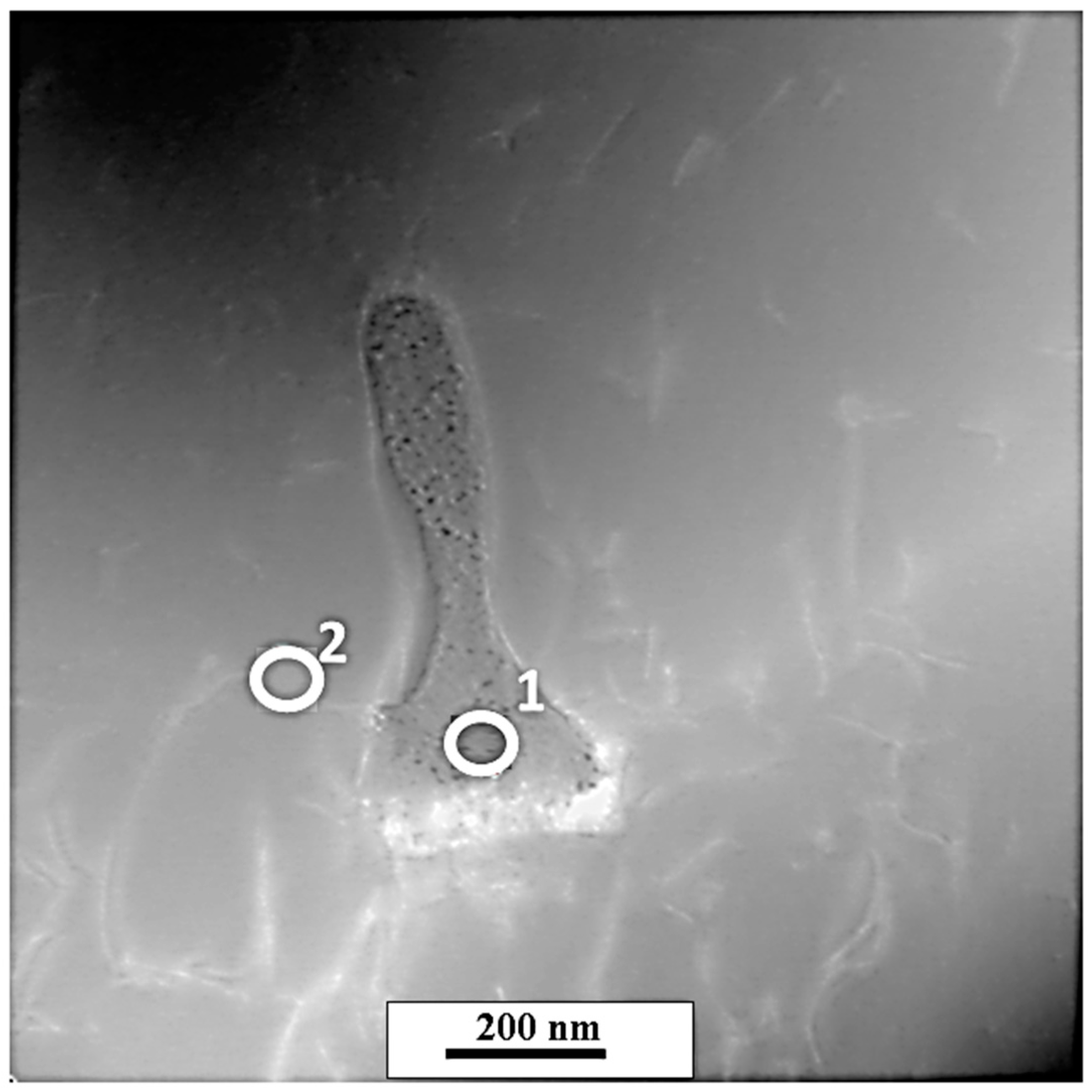 Materials 13 05050 g007 Materials 13 05050 g007