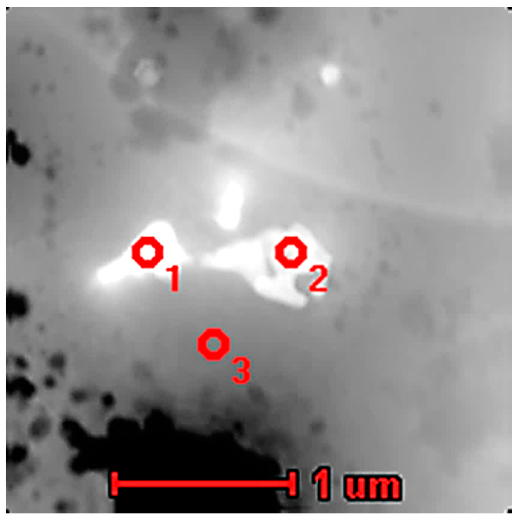 Materials 13 05050 g012 Materials 13 05050 g012