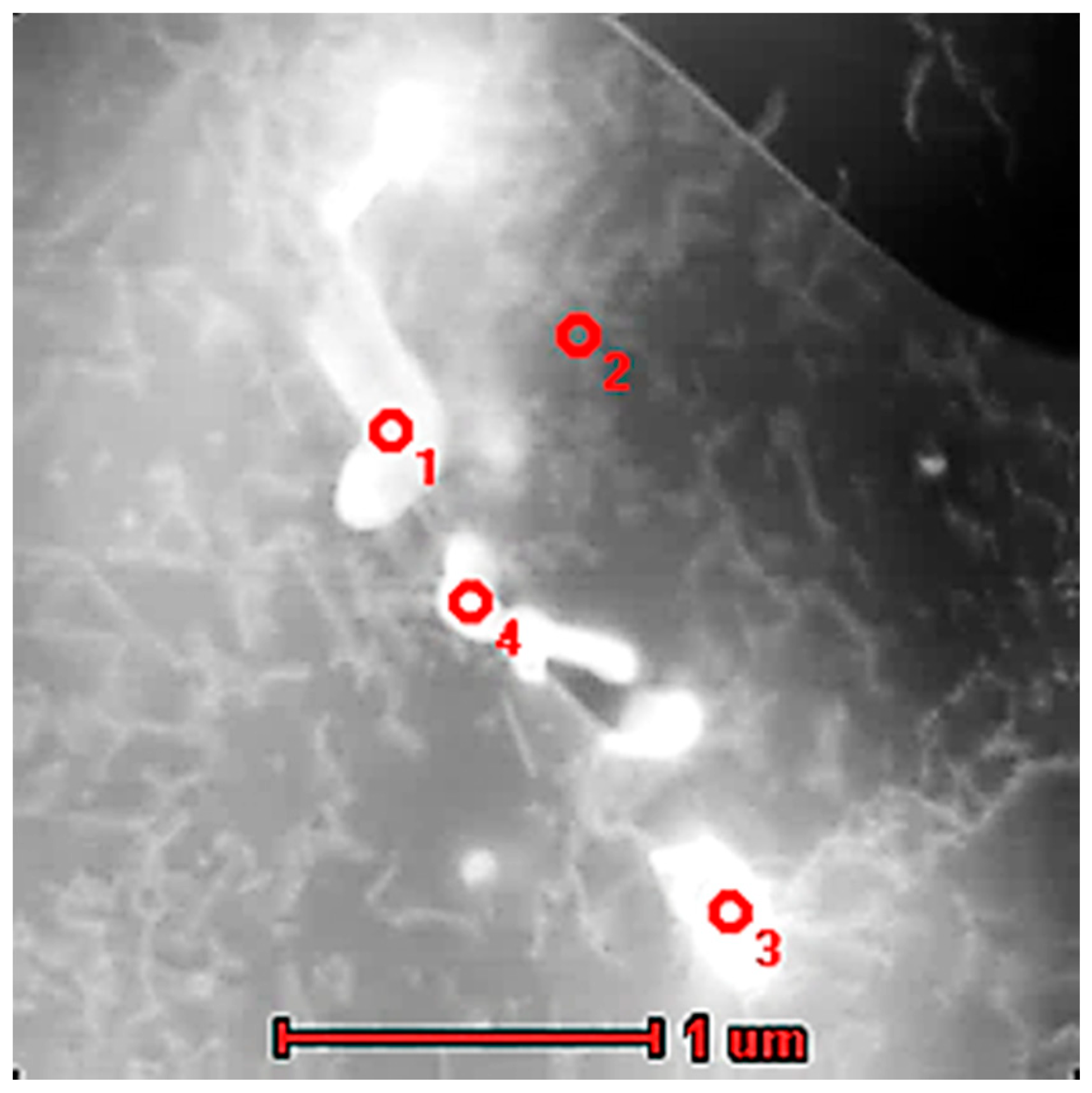 Materials 13 05050 g013 Materials 13 05050 g013