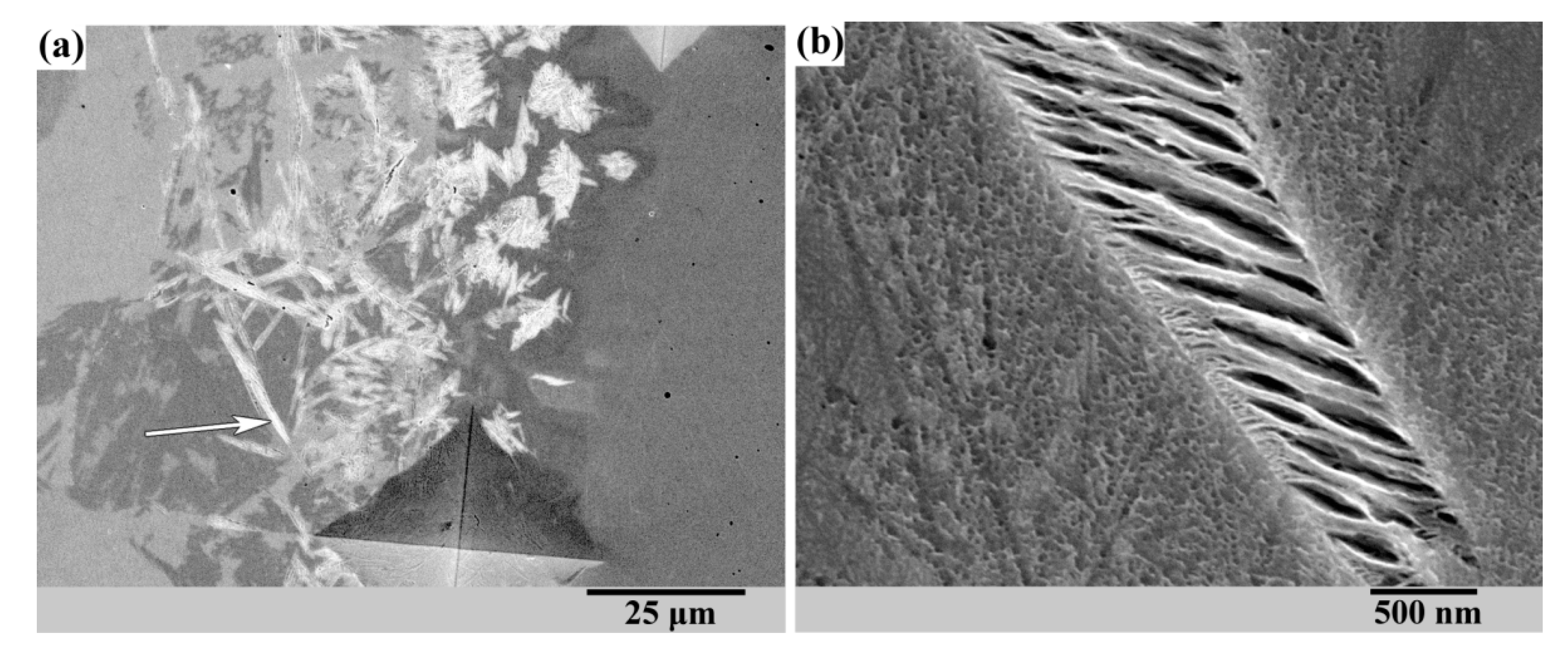 Materials 13 05059 g004 Materials 13 05059 g004