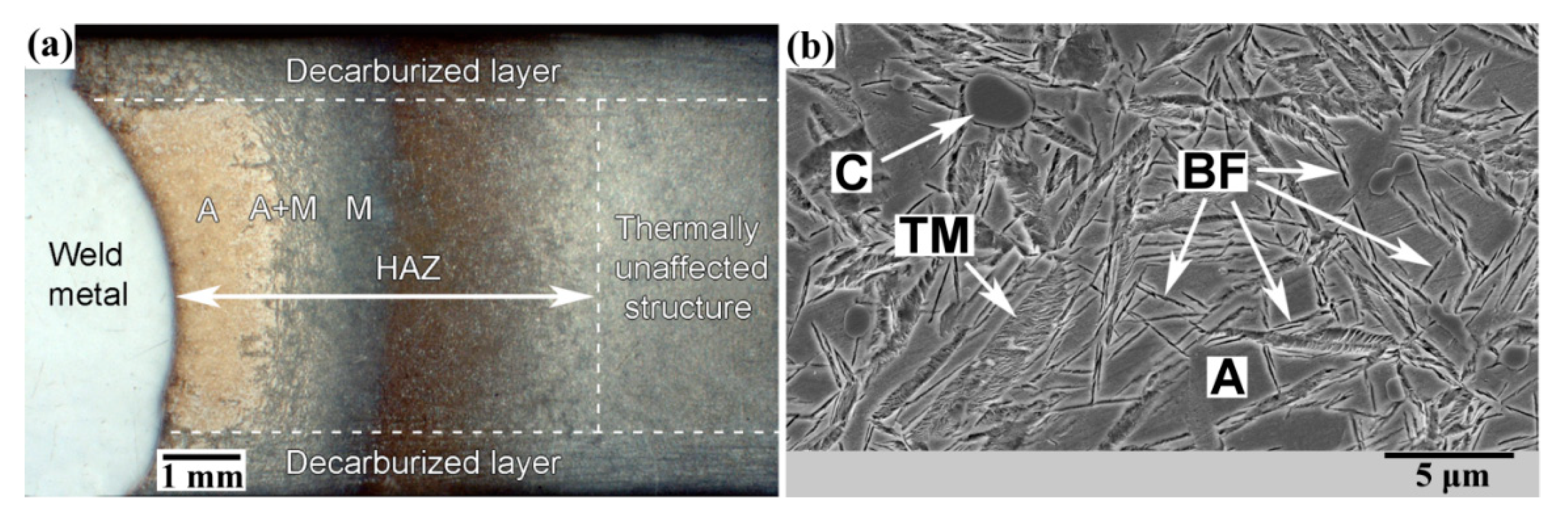 Materials 13 05059 g006 Materials 13 05059 g006