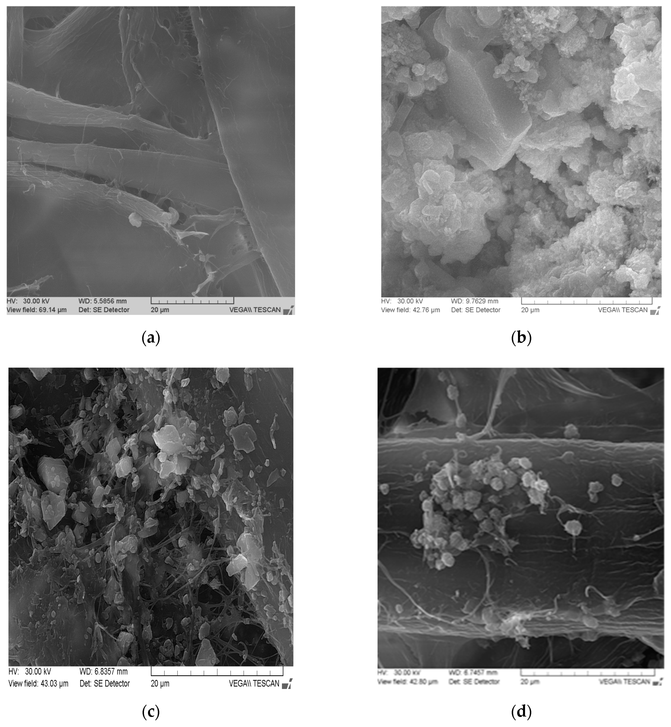 Materials 13 05066 g002