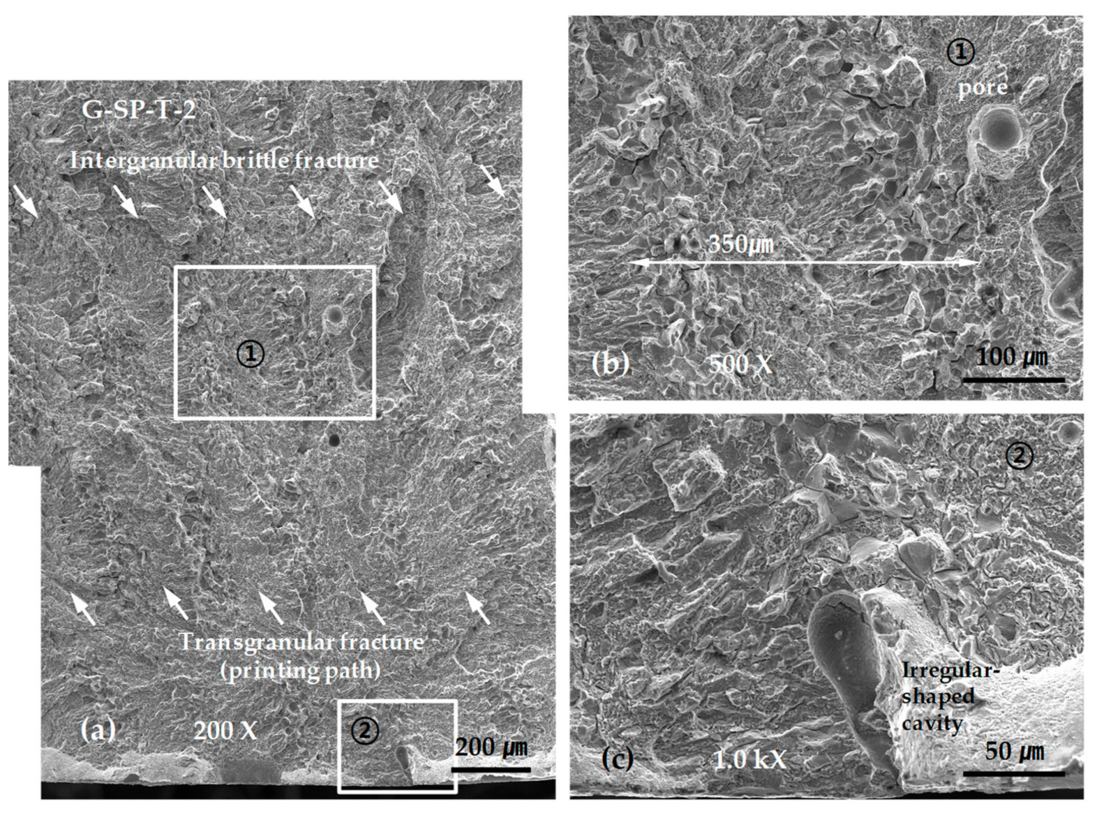 Materials 13 05068 g012