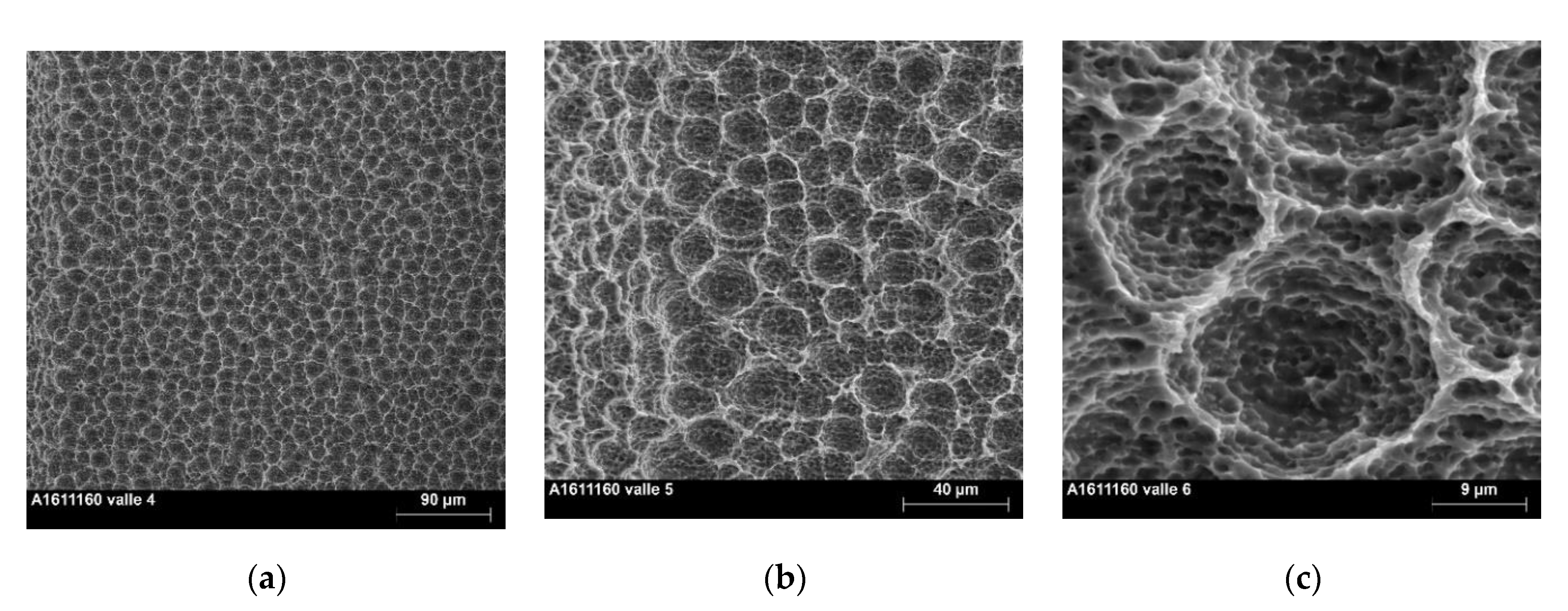 Materials 13 05074 g001 Materials 13 05074 g001