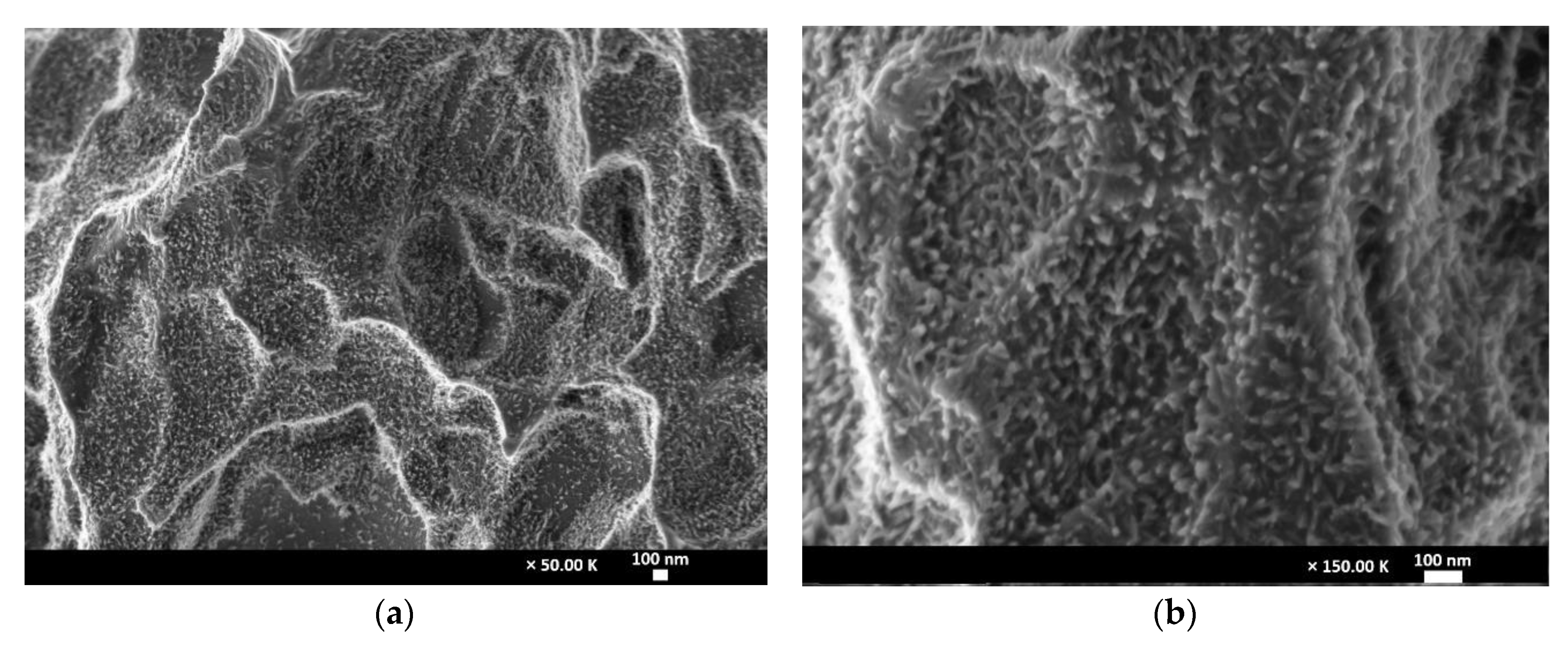 Materials 13 05074 g005 Materials 13 05074 g005