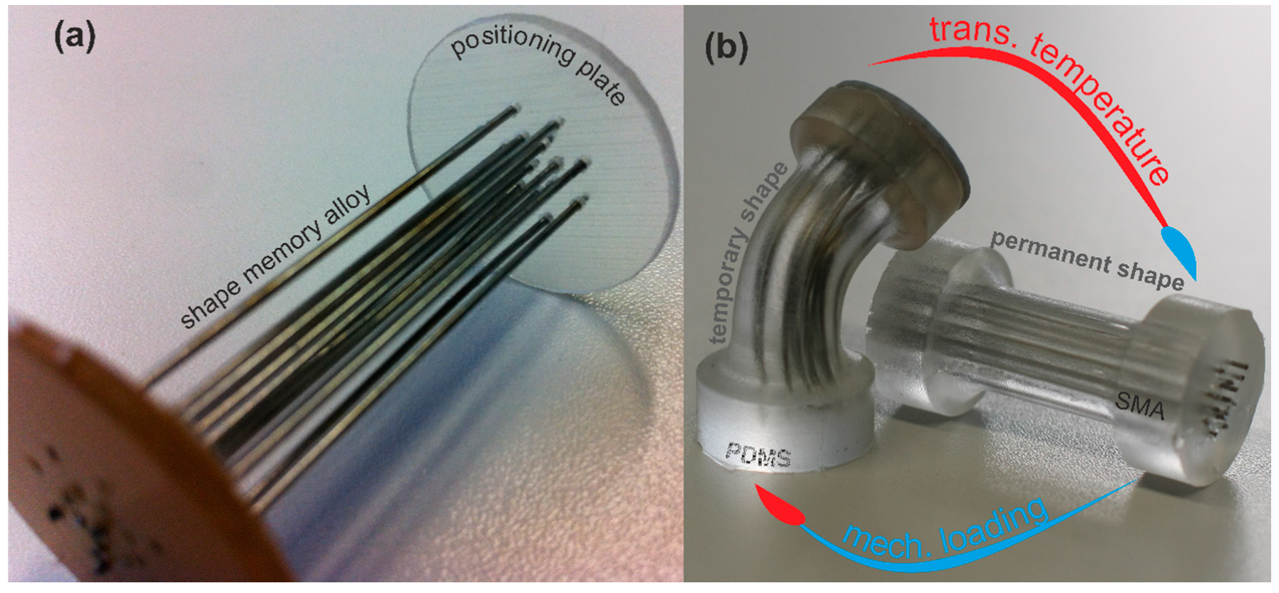 Materials 13 05076 g001
