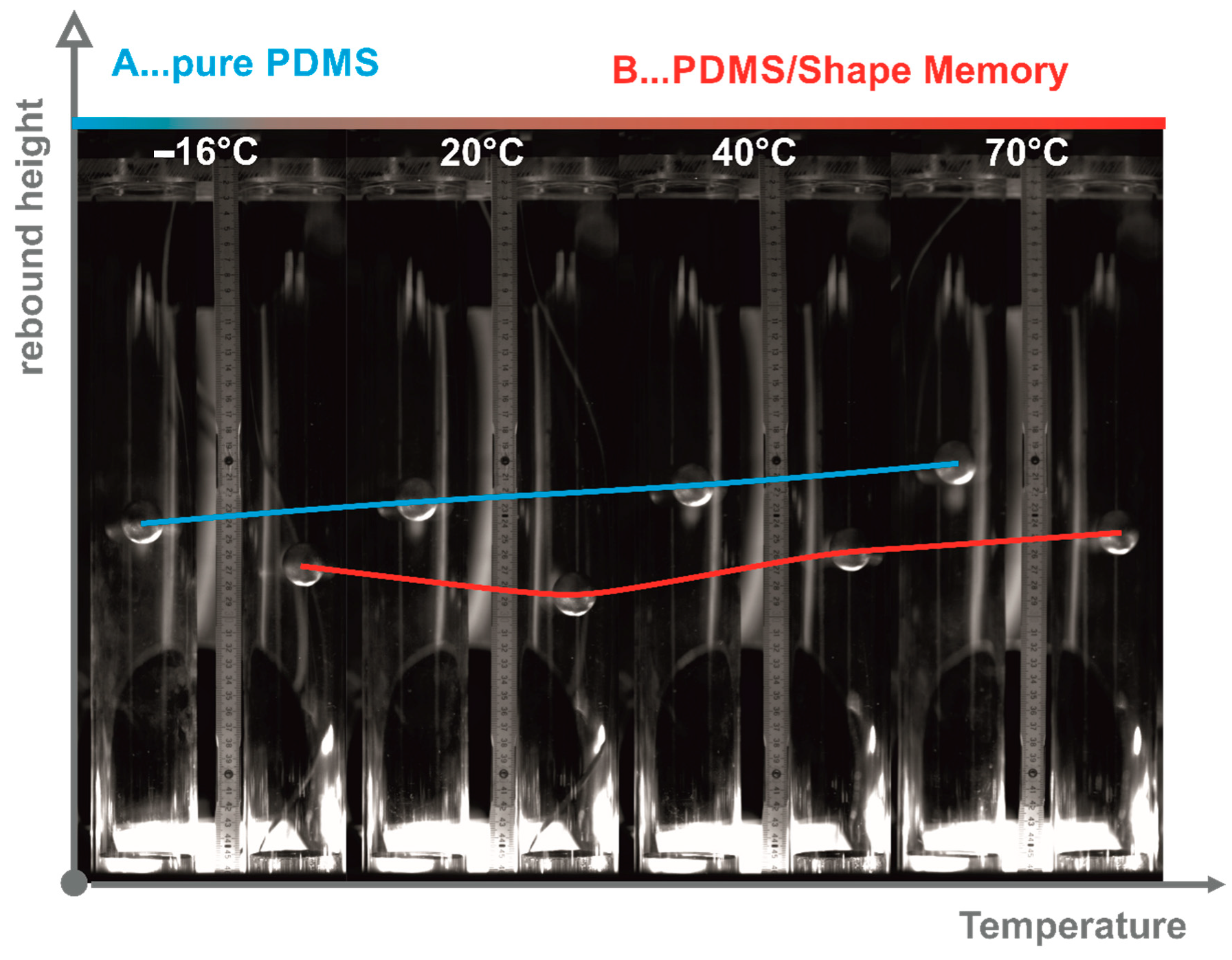 Materials 13 05076 g002