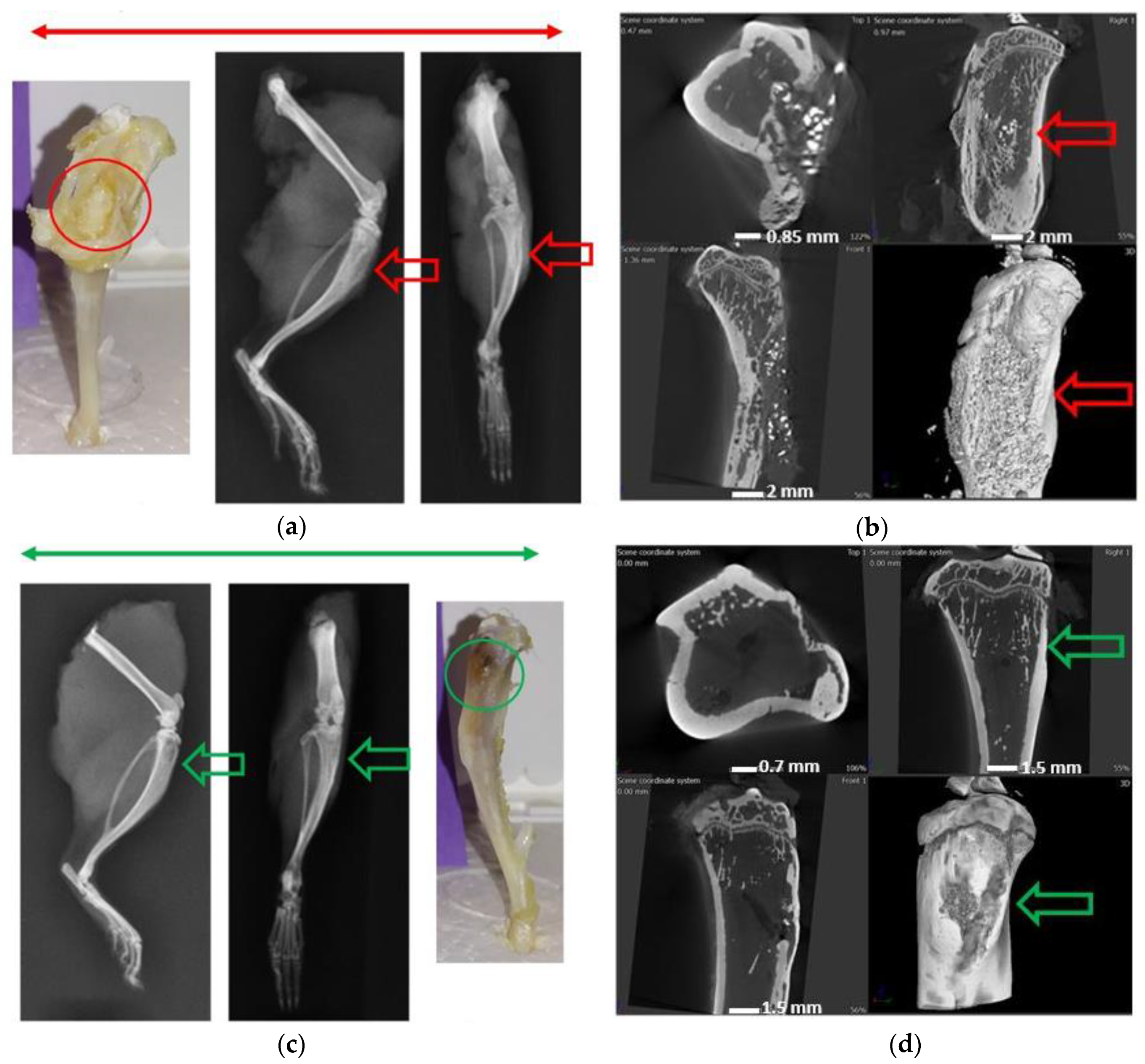 Materials 13 05080 g006