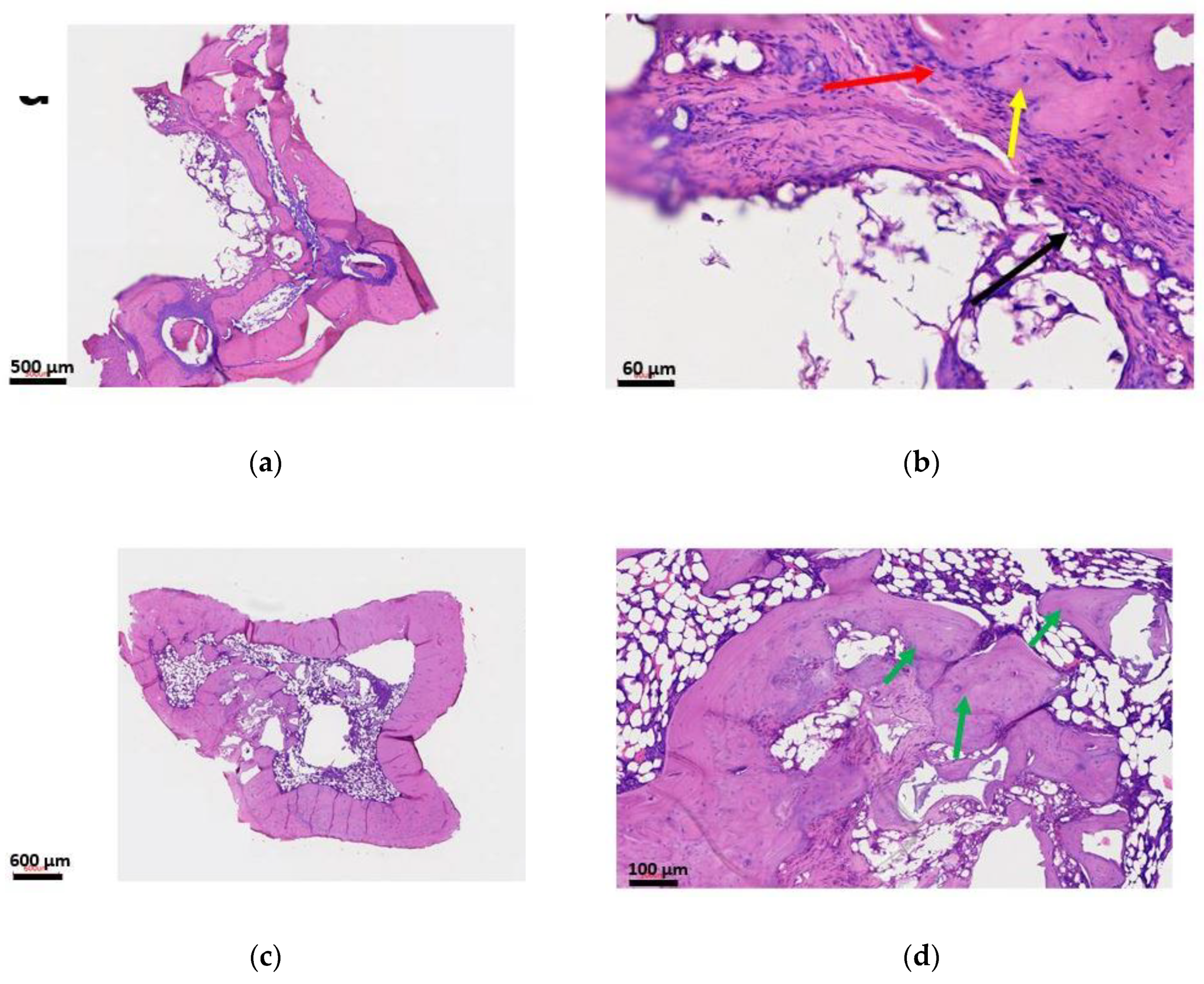 Materials 13 05080 g008