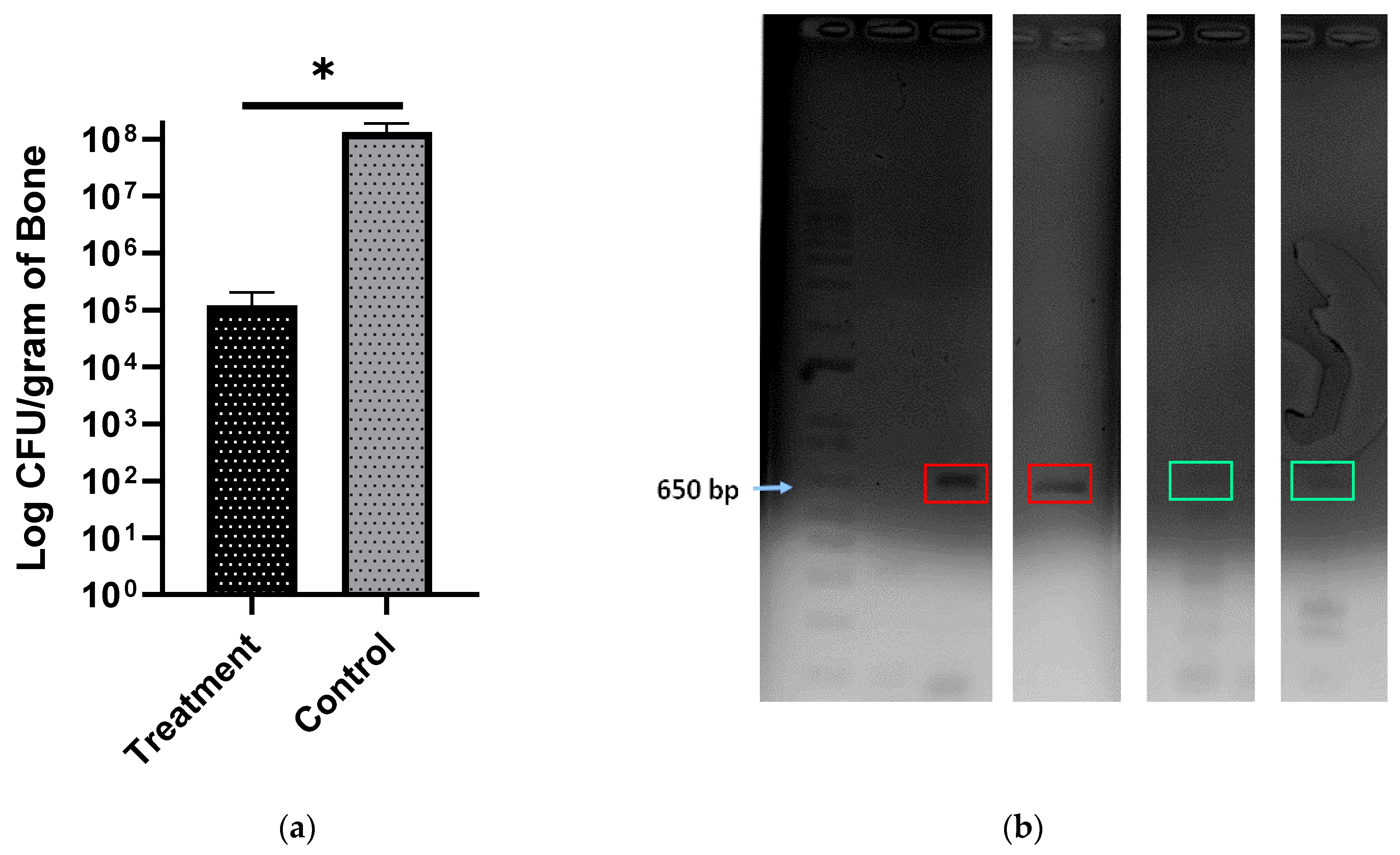 Materials 13 05080 g009
