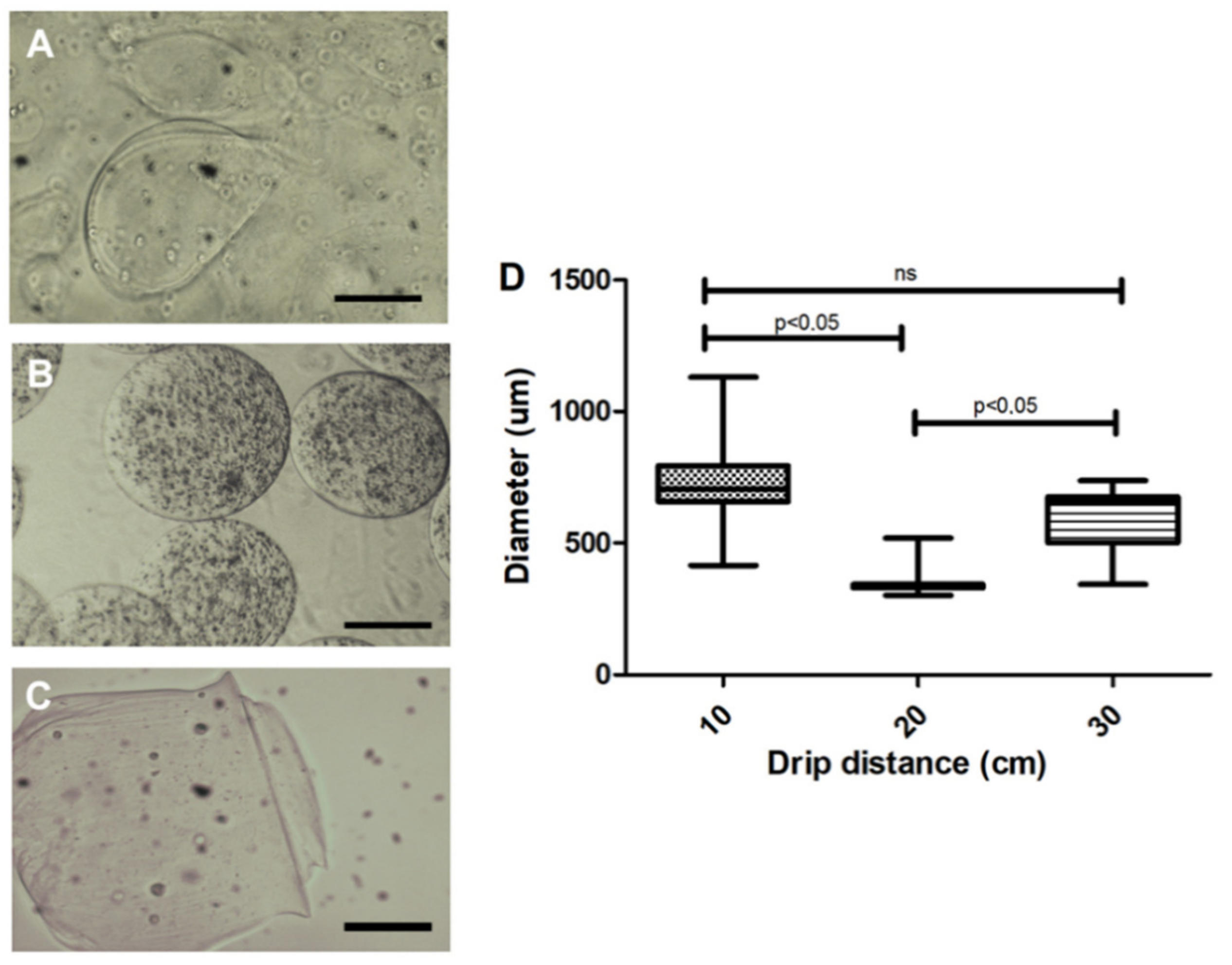 Materials 13 05090 g002 Materials 13 05090 g002