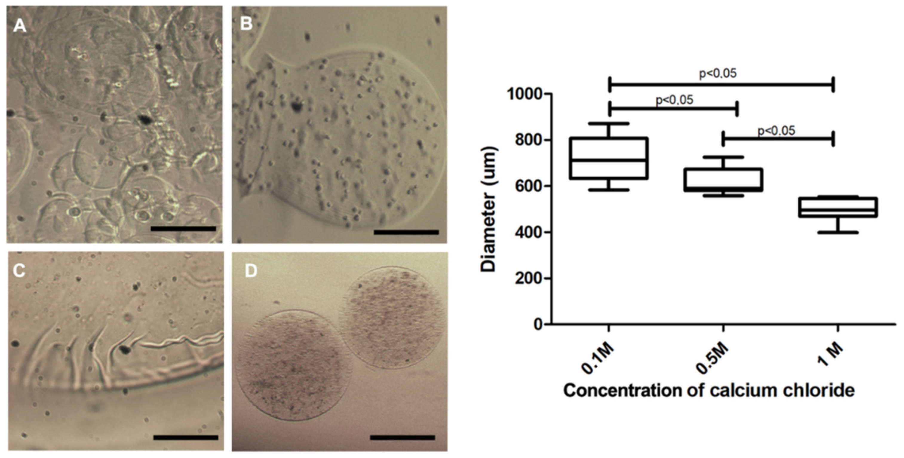 Materials 13 05090 g004 Materials 13 05090 g004